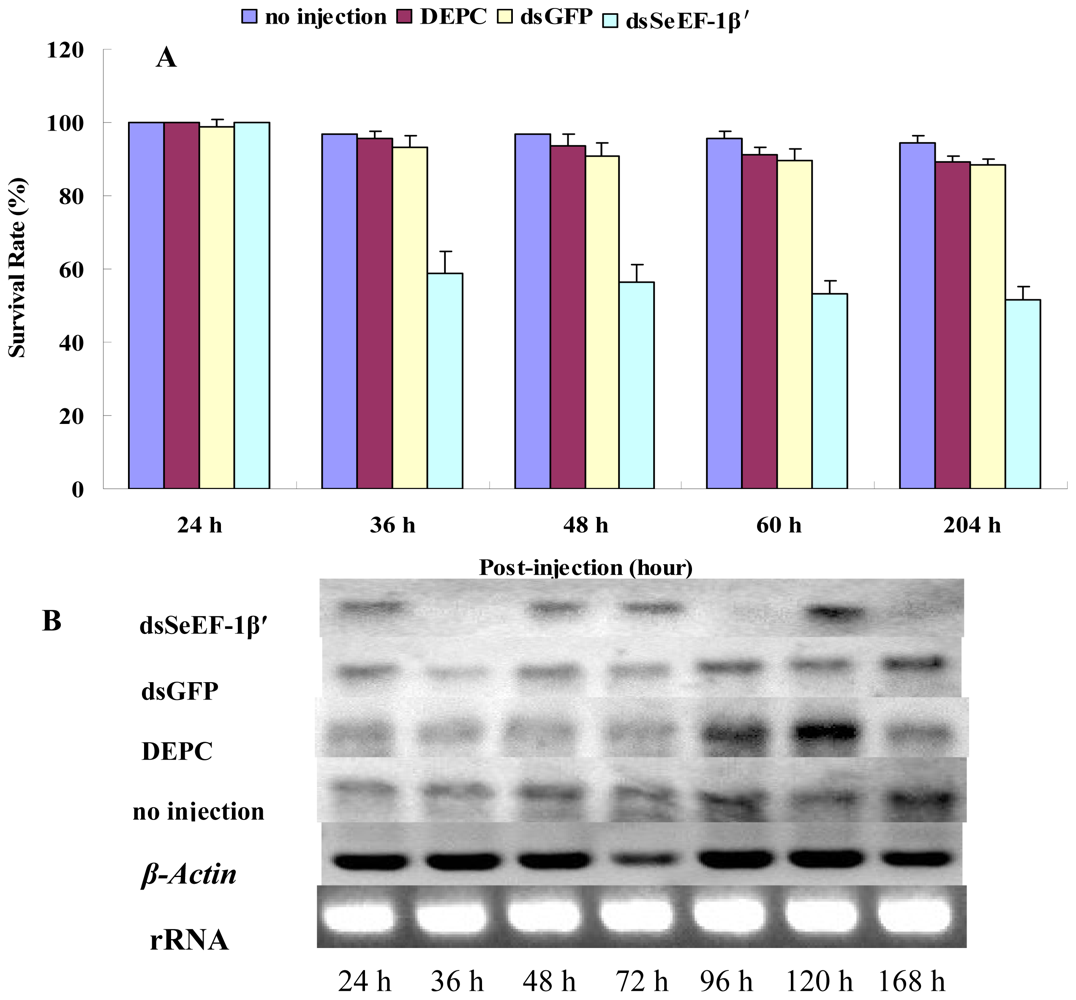 Ijms 13 08126f6 1024