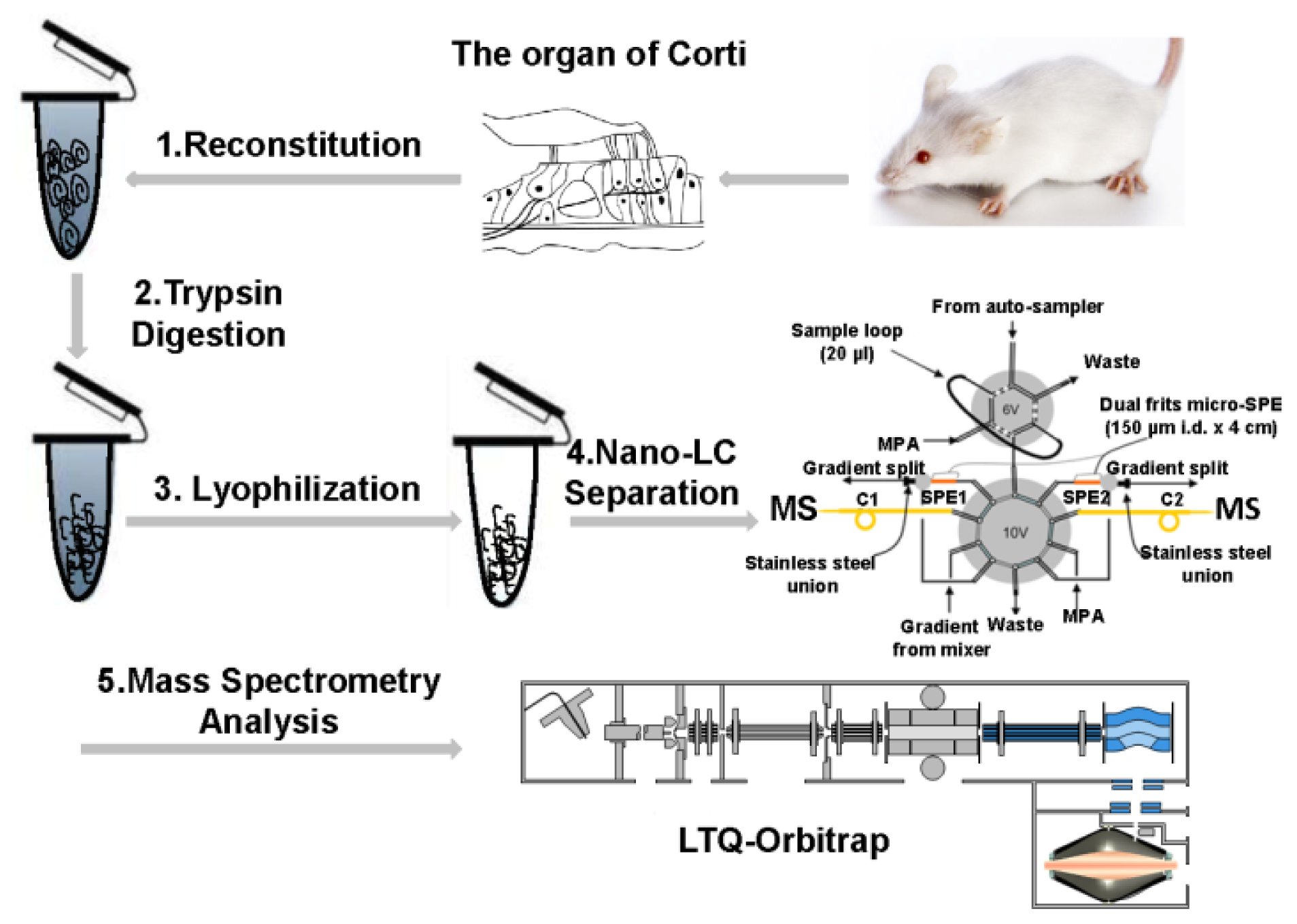 Ijms 13 08171f2 1024