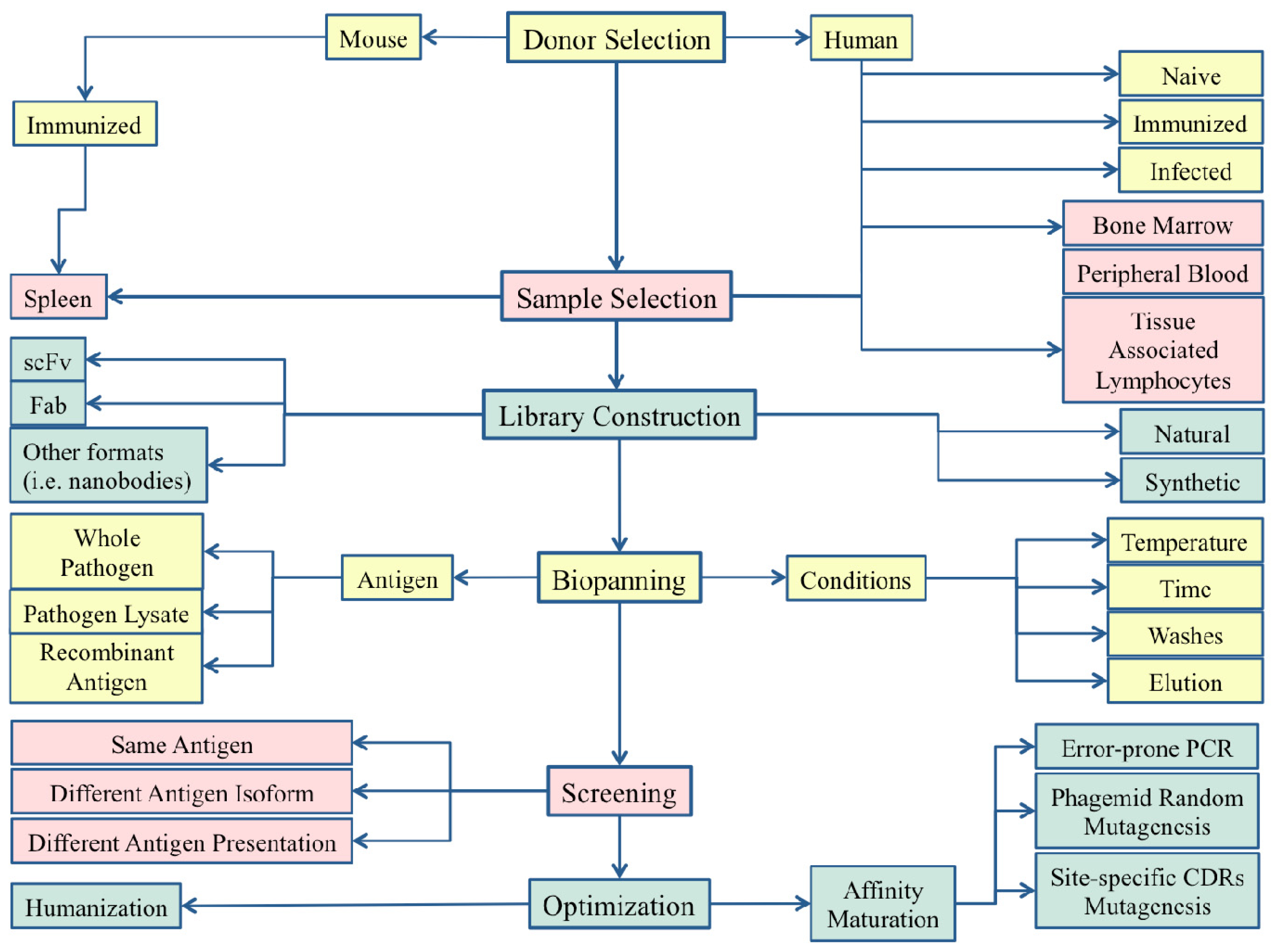 Ijms 13 08273f1 1024