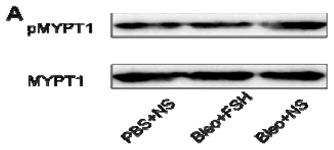 Ijms 13 08293f5a 1024