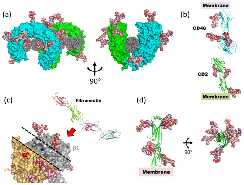 Ijms 13 08398f10 1024