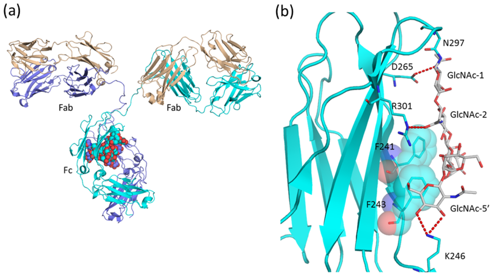 Ijms 13 08398f2 1024