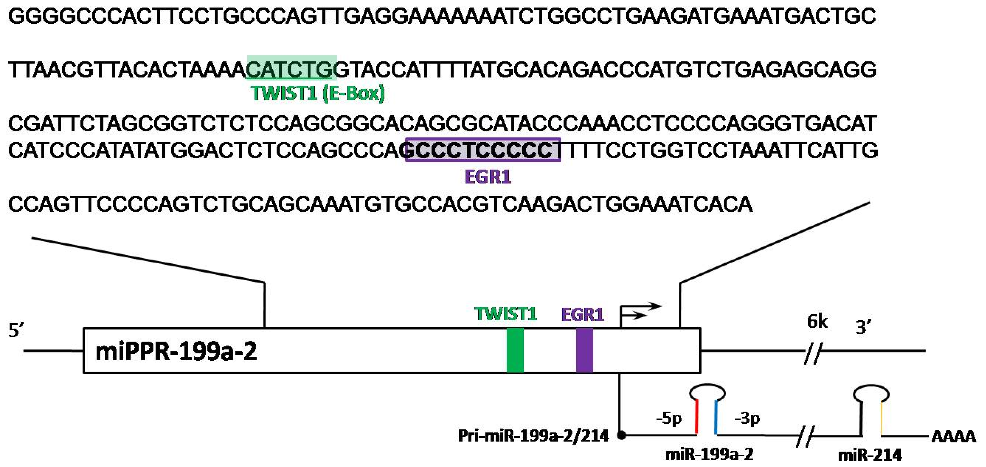 Ijms 13 08449f1 1024