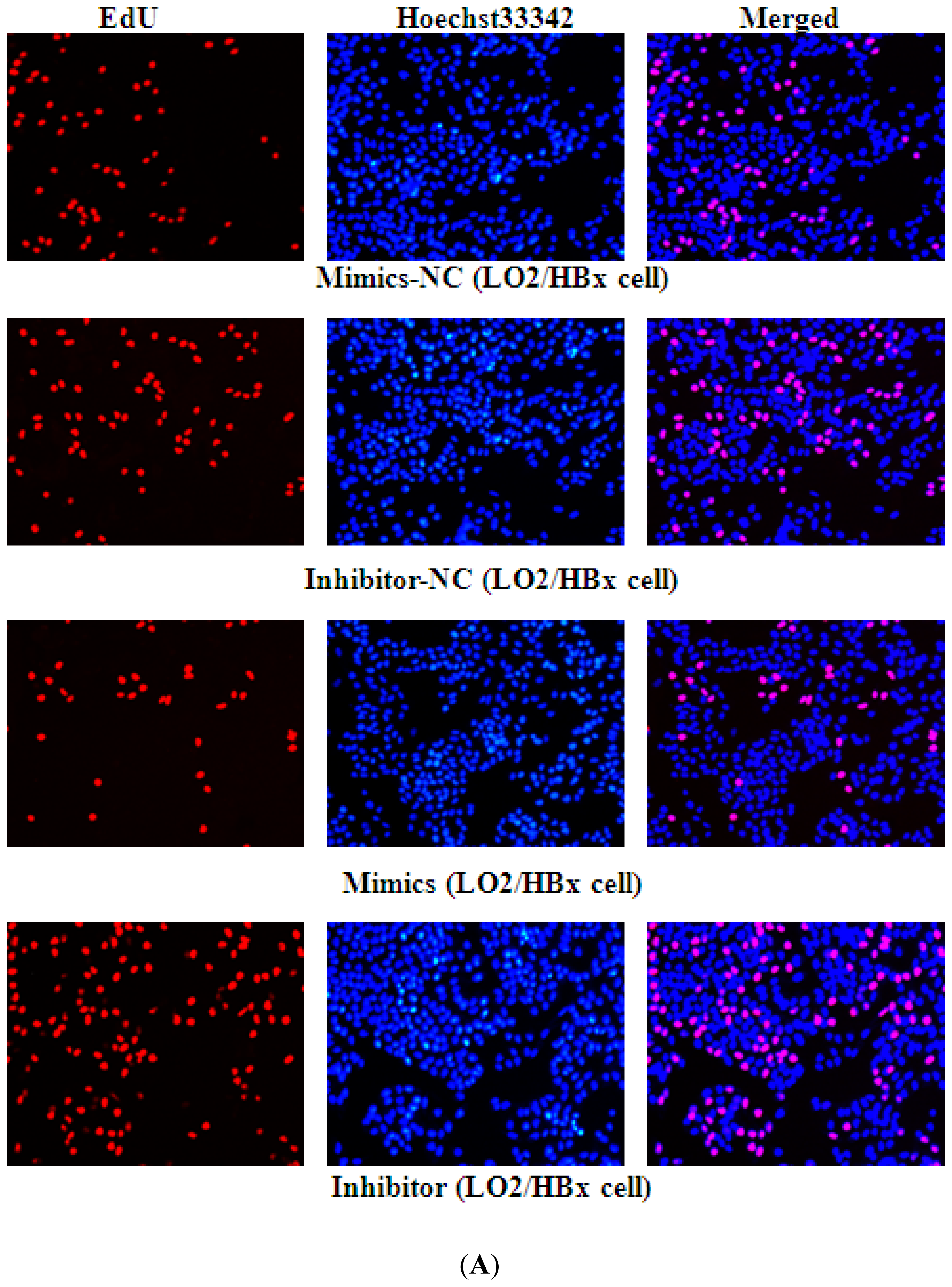 Ijms 13 08514f5a 1024