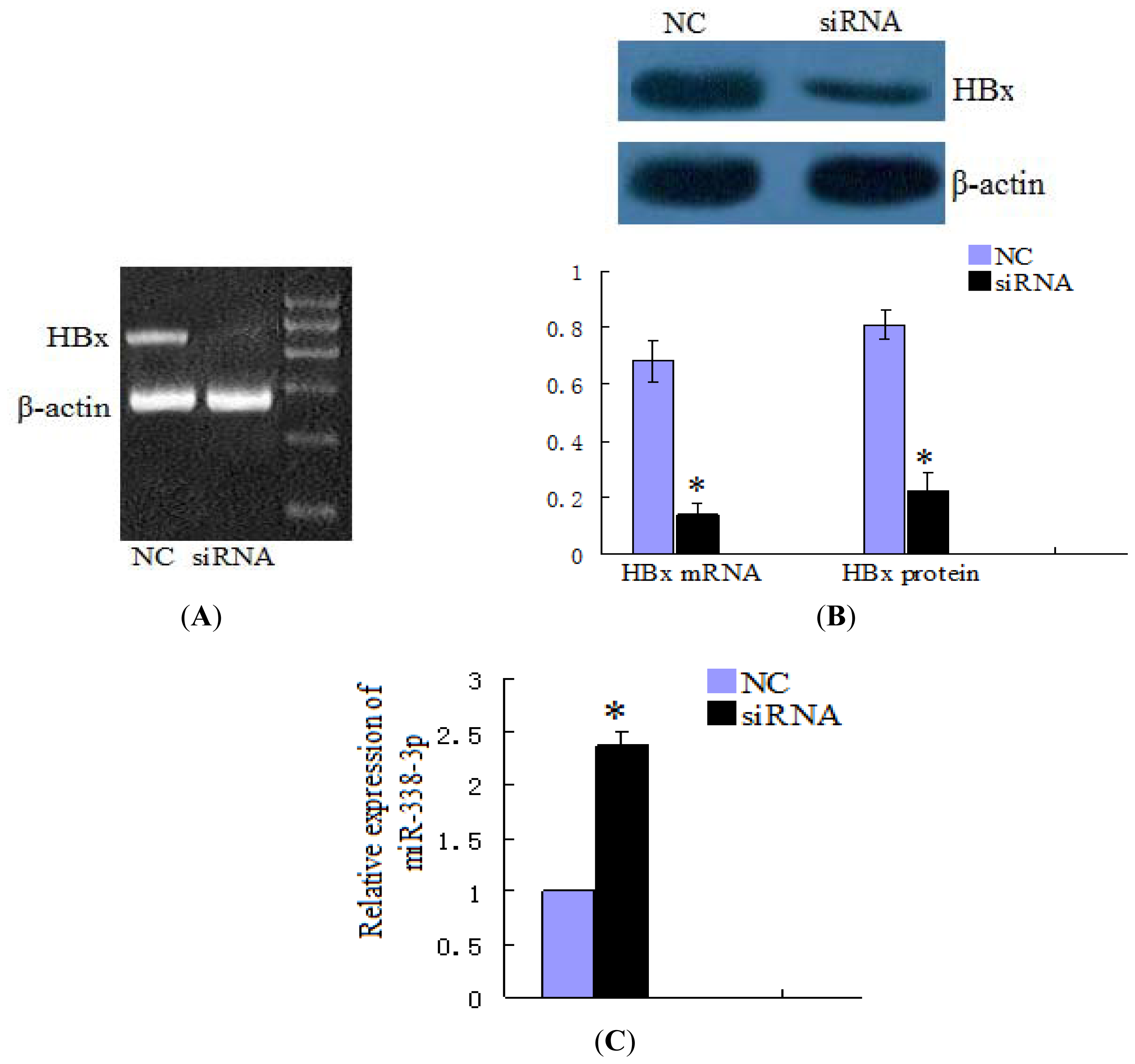 Ijms 13 08514f7a 1024