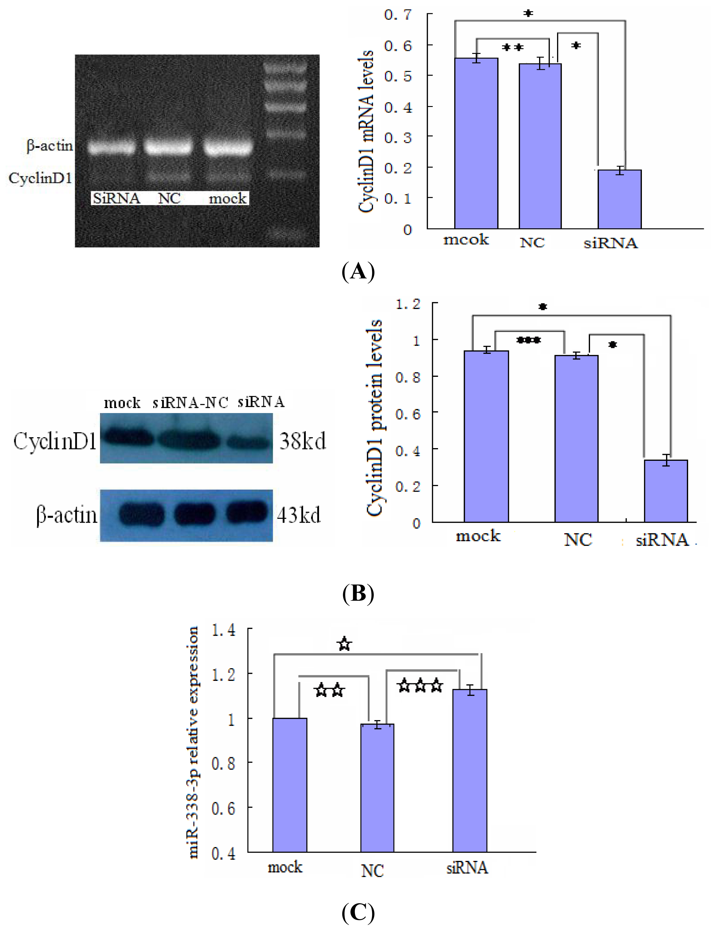 Ijms 13 08514f9 1024