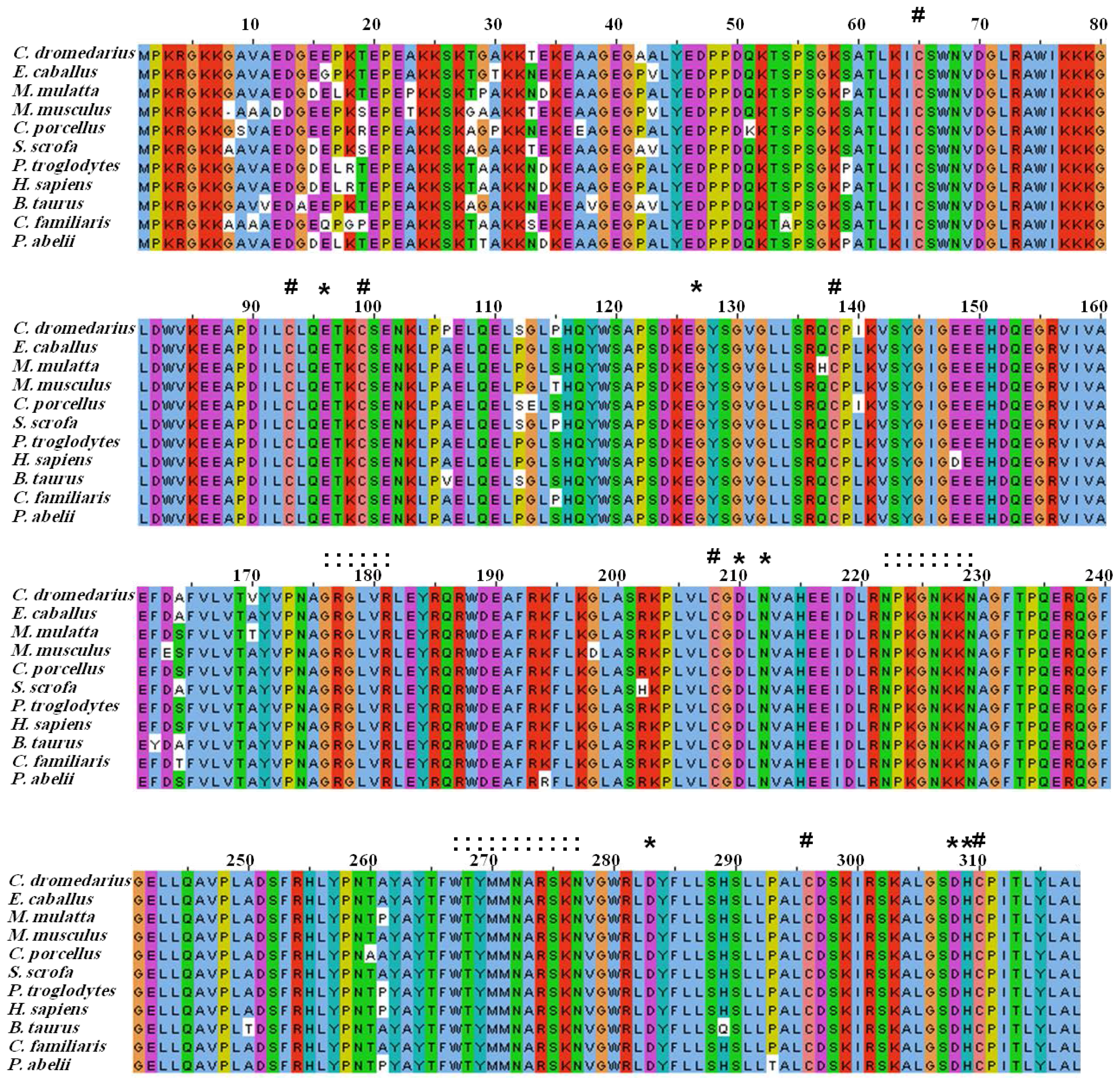 Ijms 13 08578f3 1024