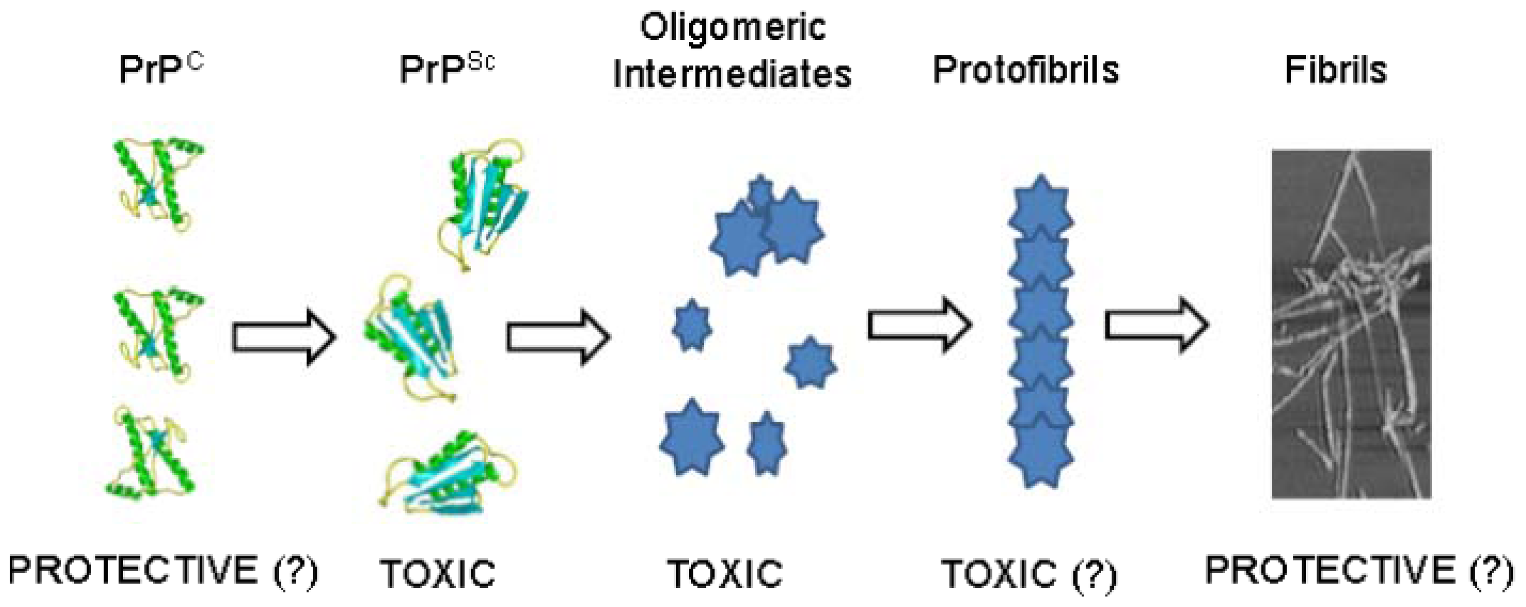 Ijms 13 08648f3 1024