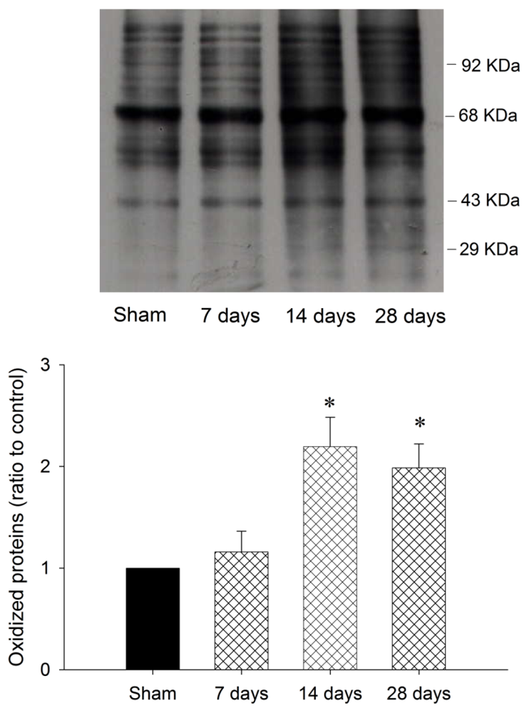 Ijms 13 08722f1 1024
