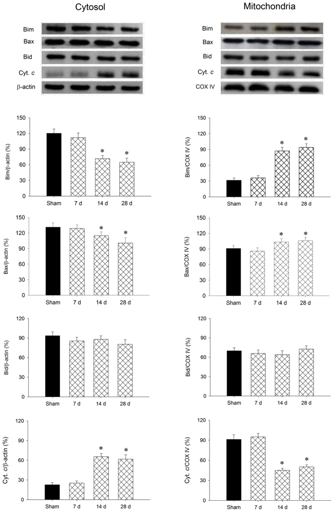 Ijms 13 08722f3 1024