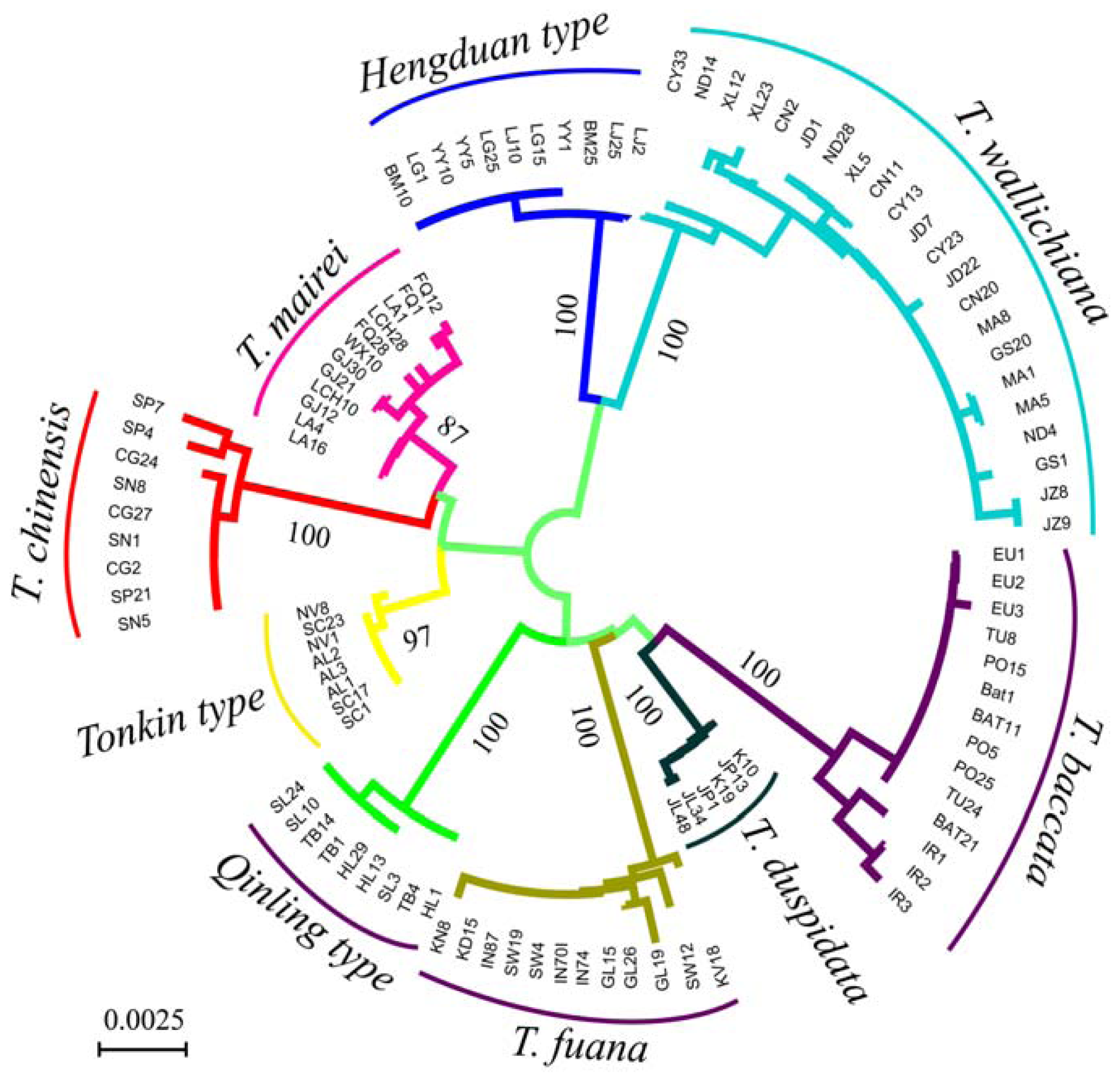 Ijms 13 08740f1 1024