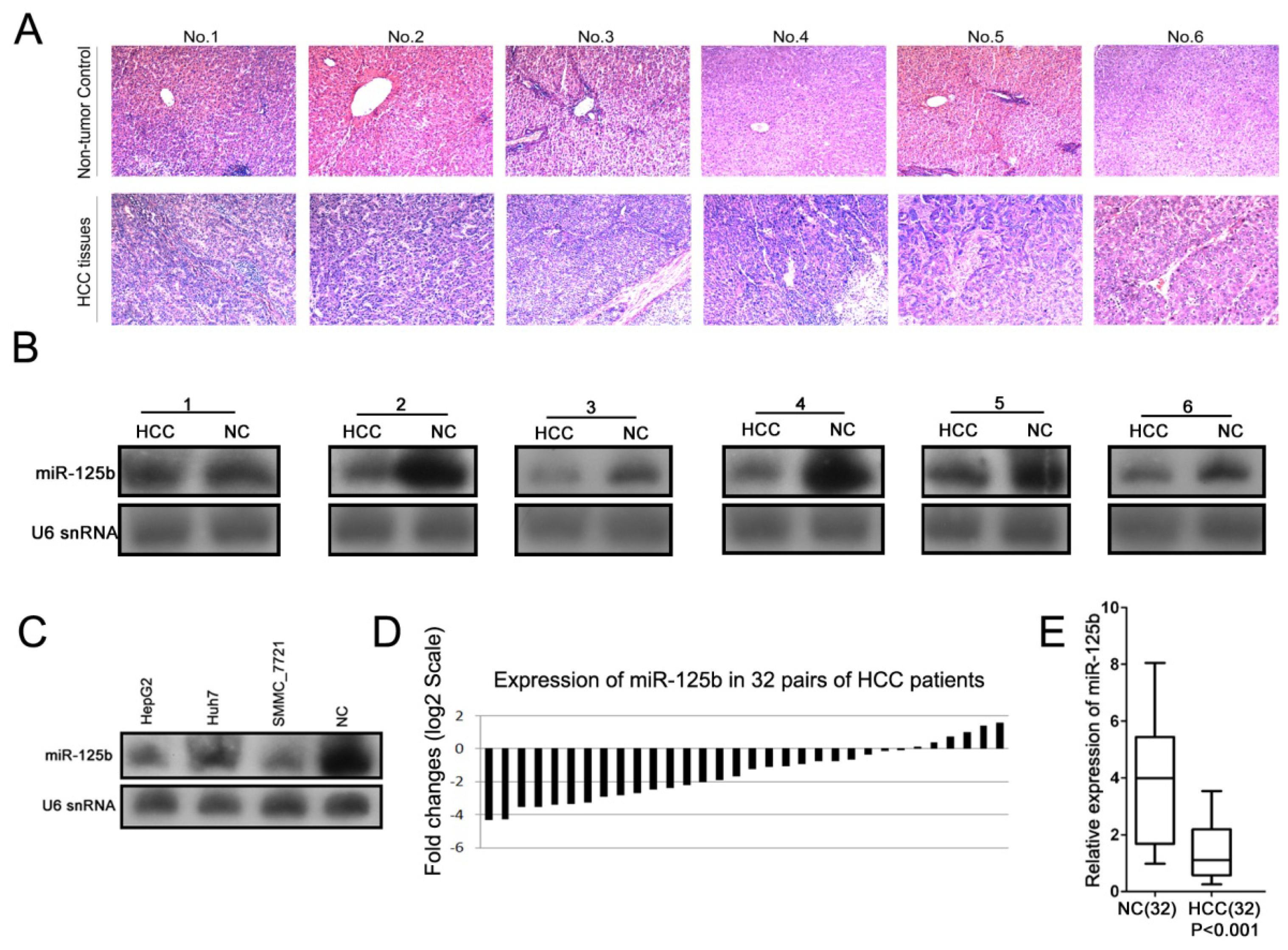 Ijms 13 08762f1 1024