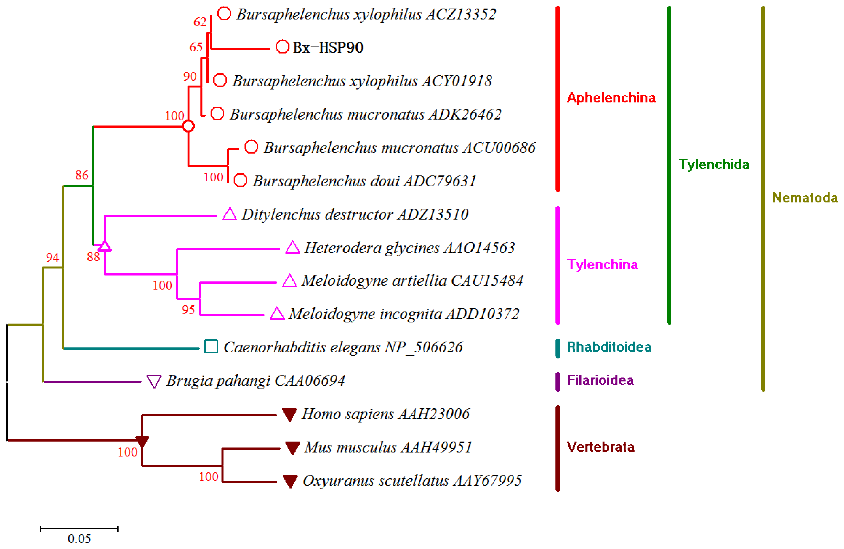 Ijms 13 08819f2 1024