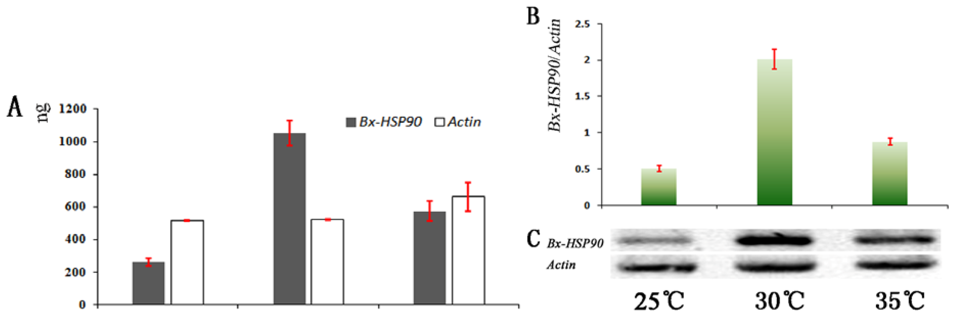 Ijms 13 08819f4 1024