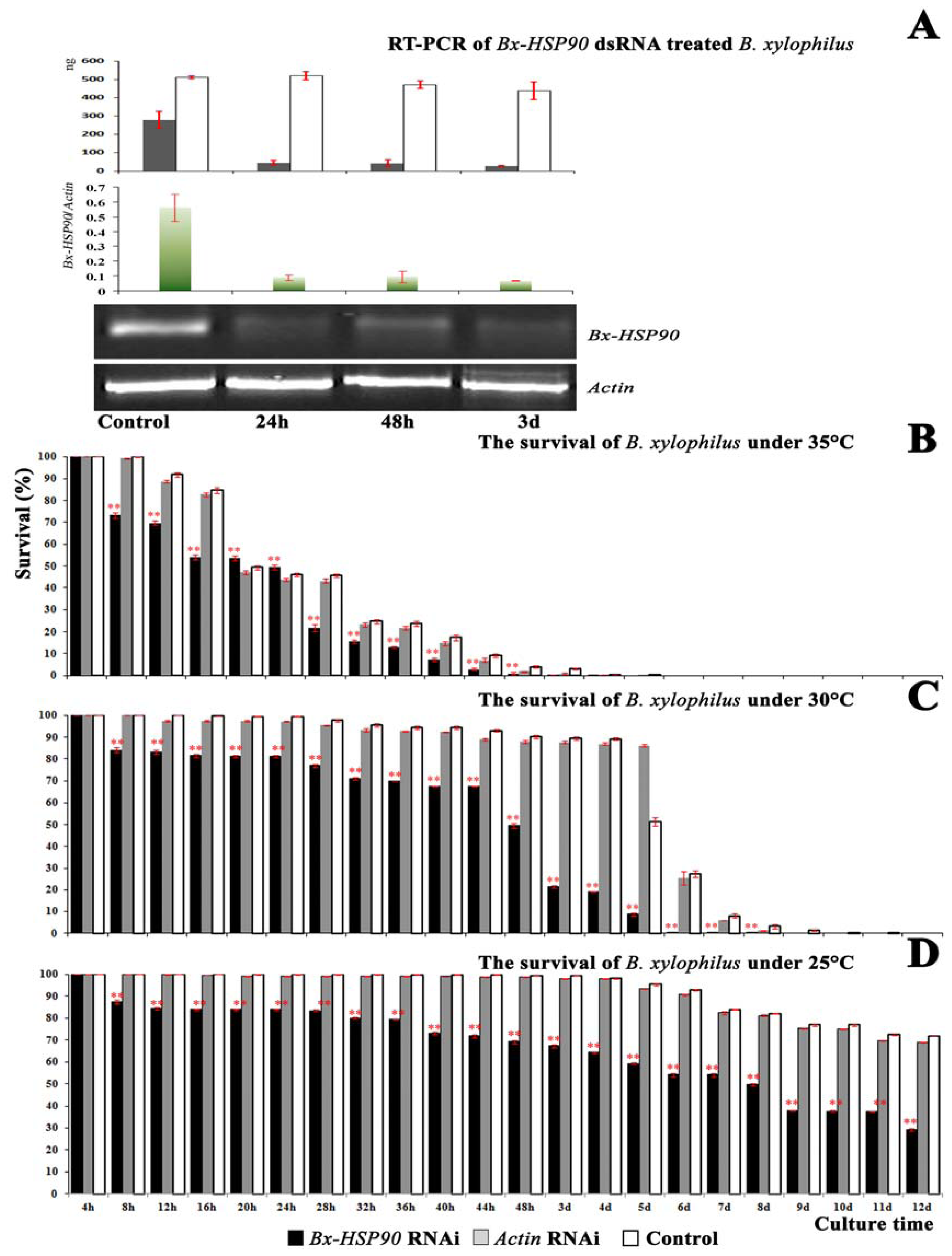 Ijms 13 08819f5 1024