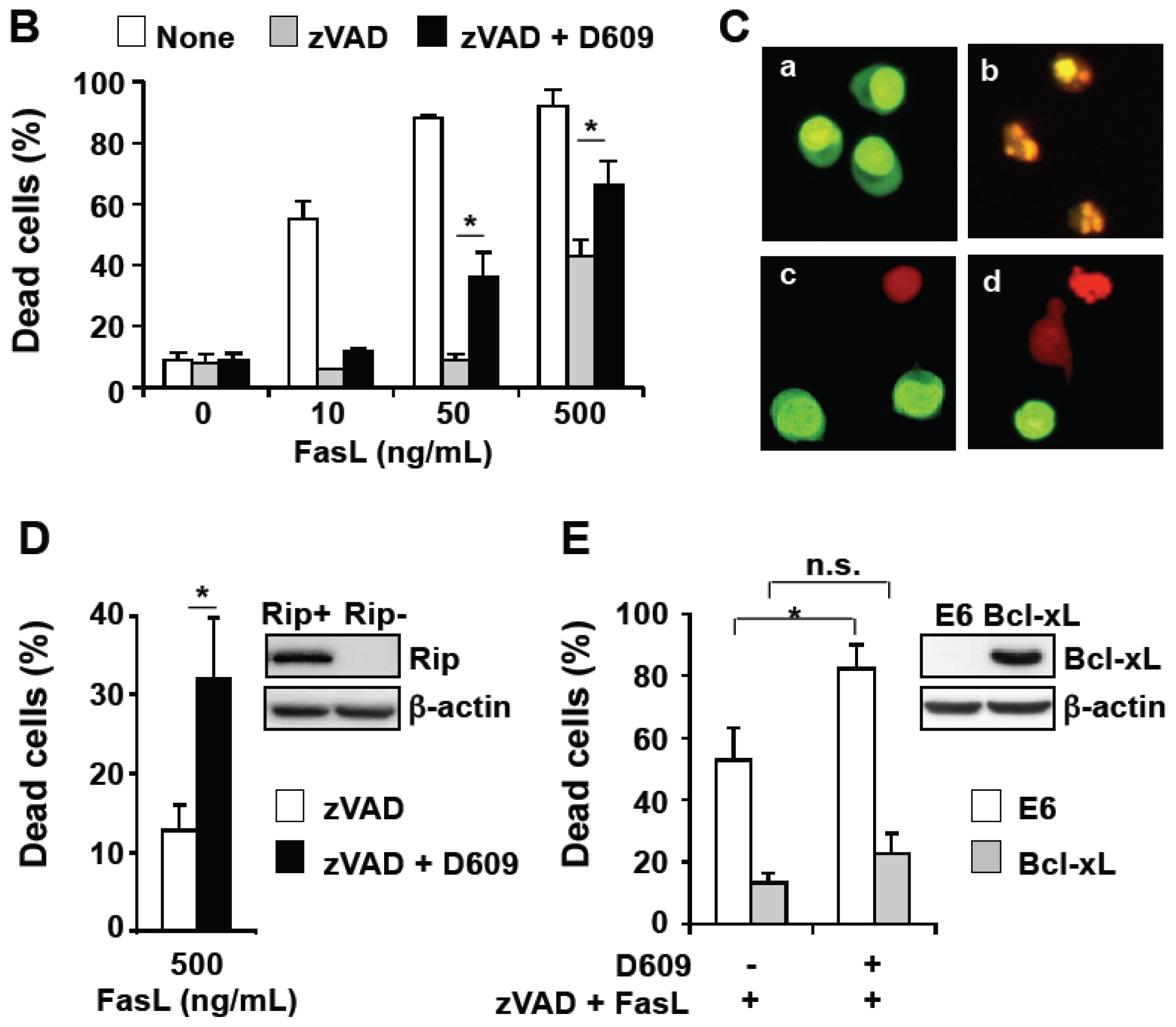 Ijms 13 08834f4b 1024