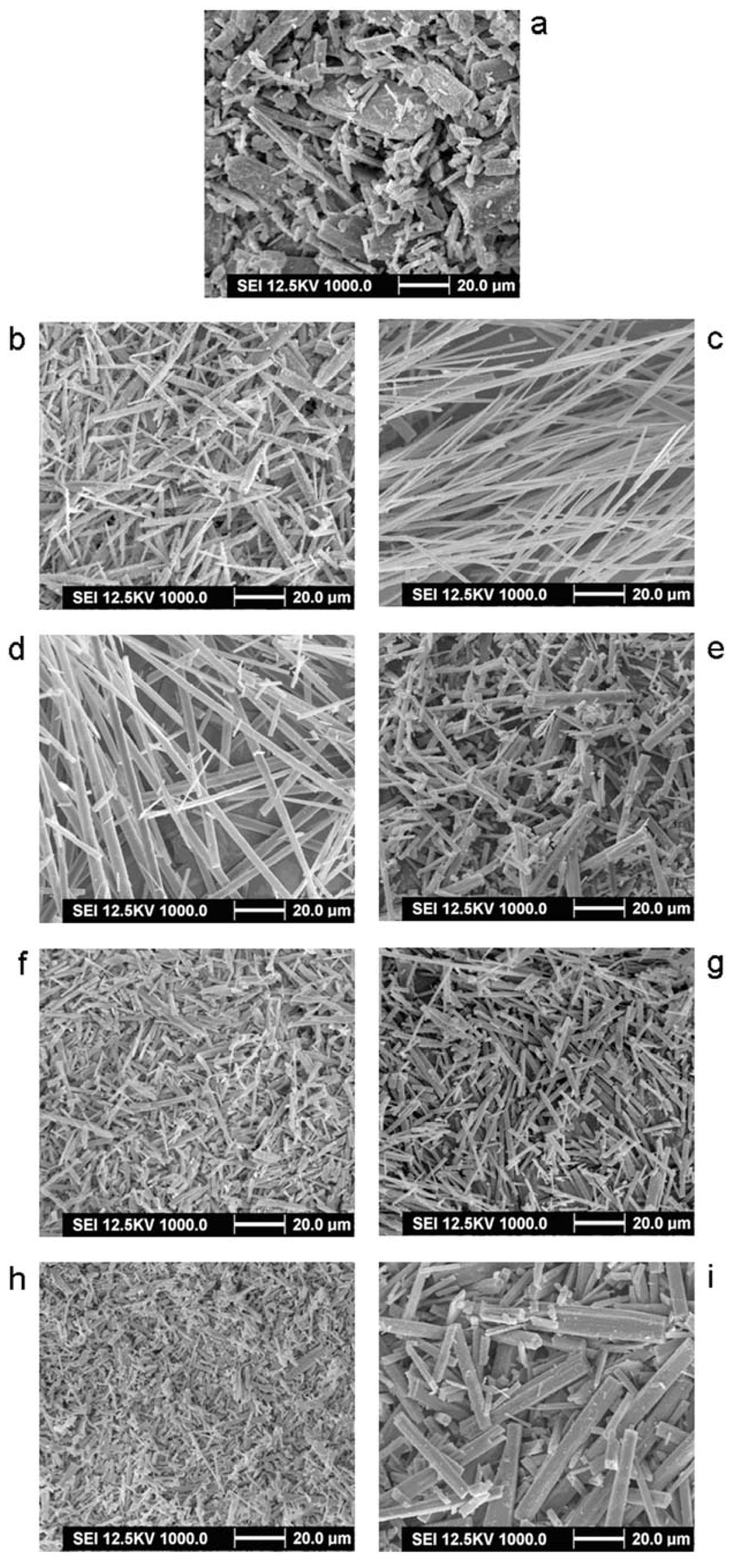 Ijms 13 08869f1 1024