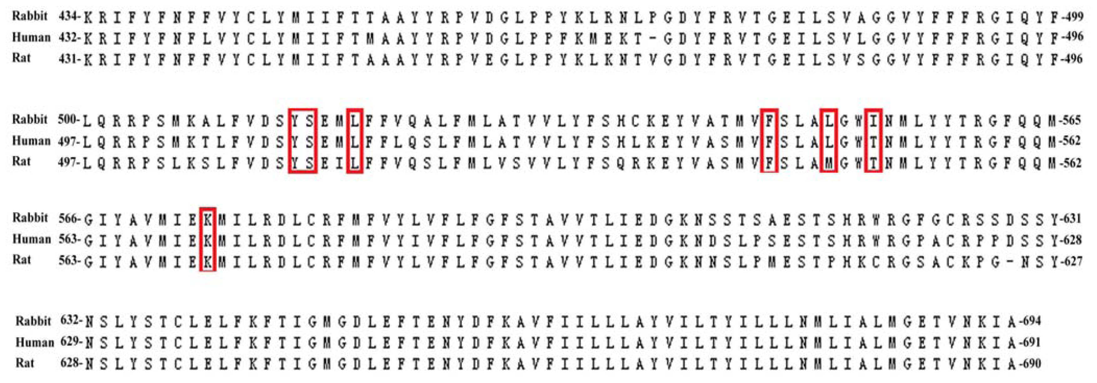 Ijms 13 08958f2 1024