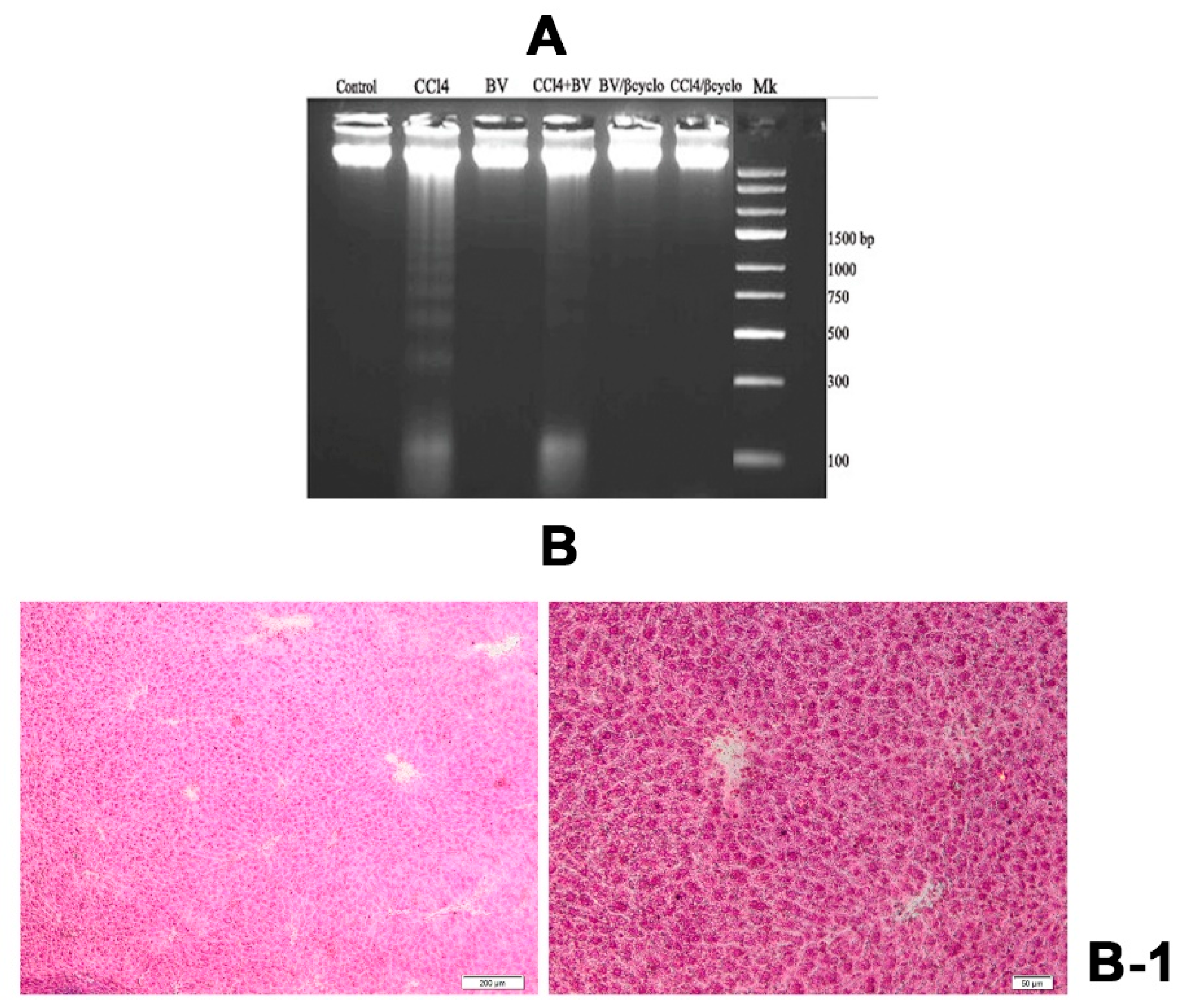 Ijms 13 09014 g009a
