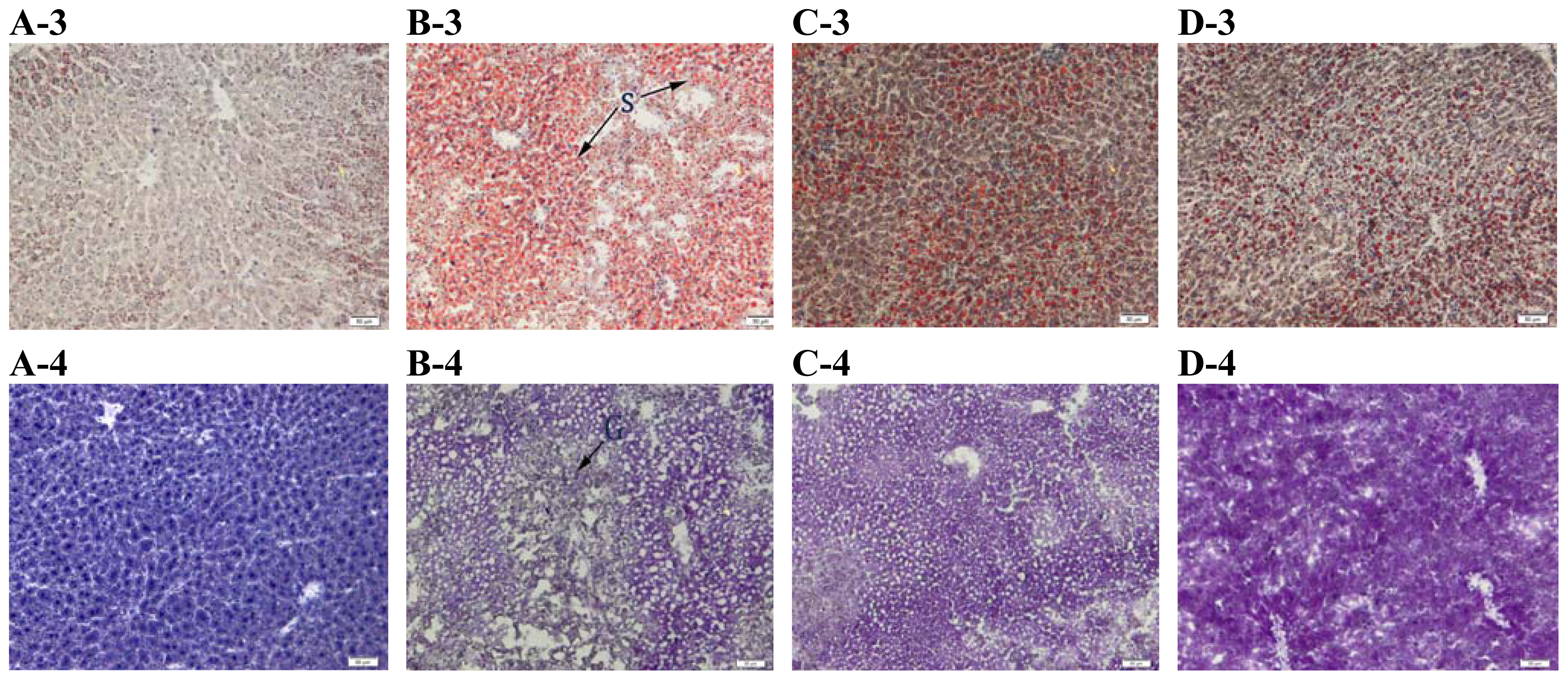 Ijms 13 09014f7b 1024