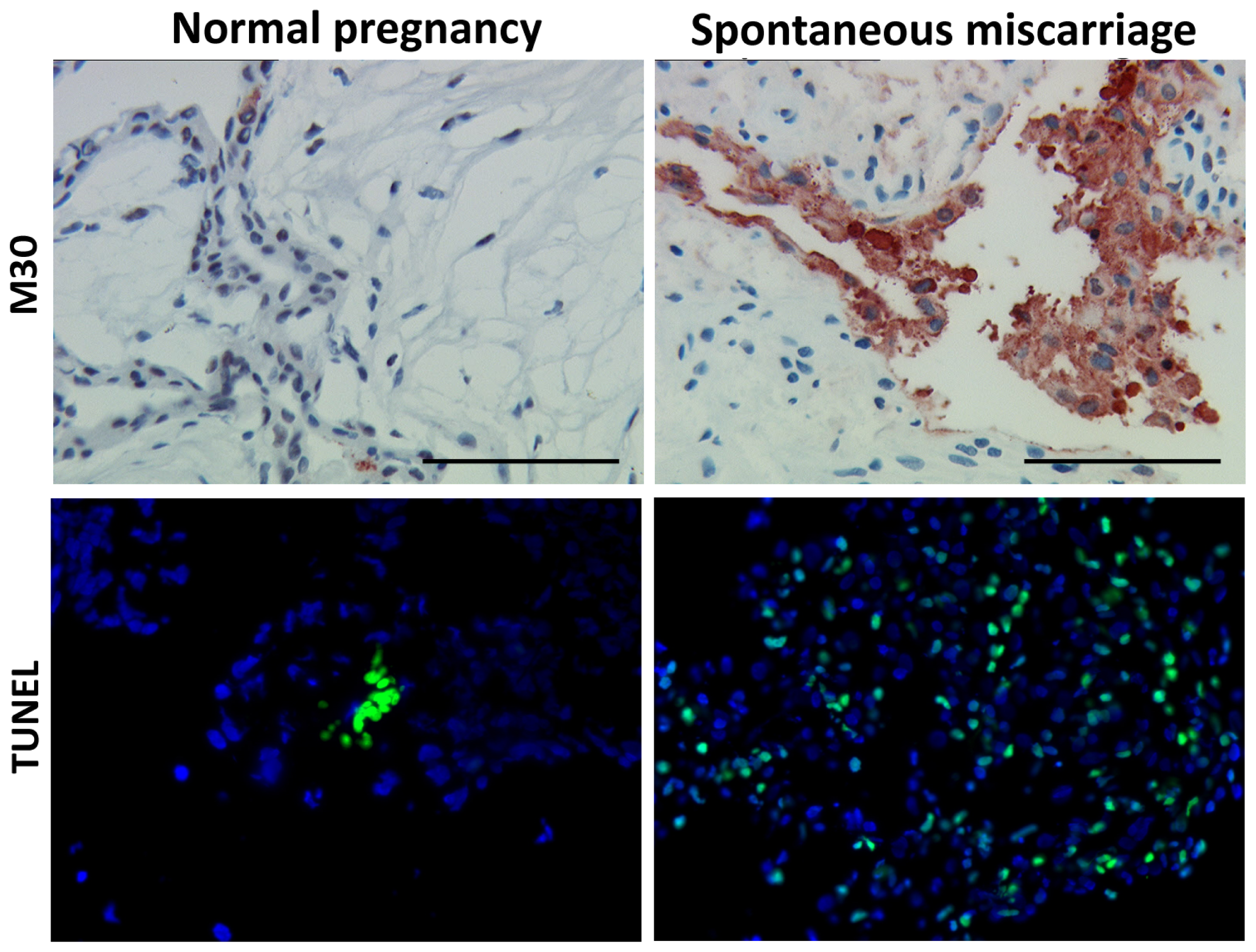 Ijms 13 09069f1 1024