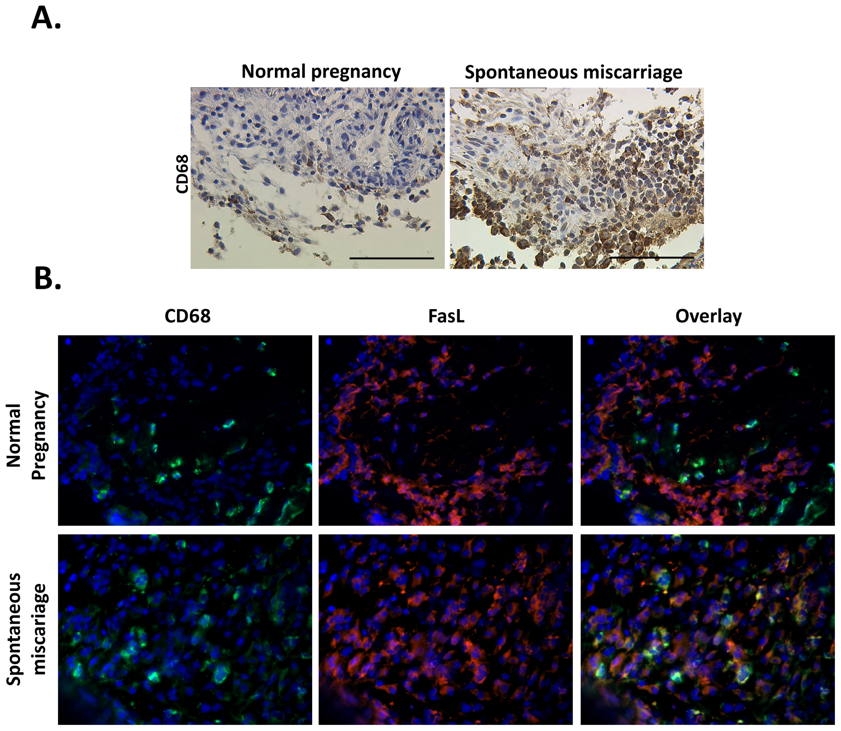 Ijms 13 09069f3 1024