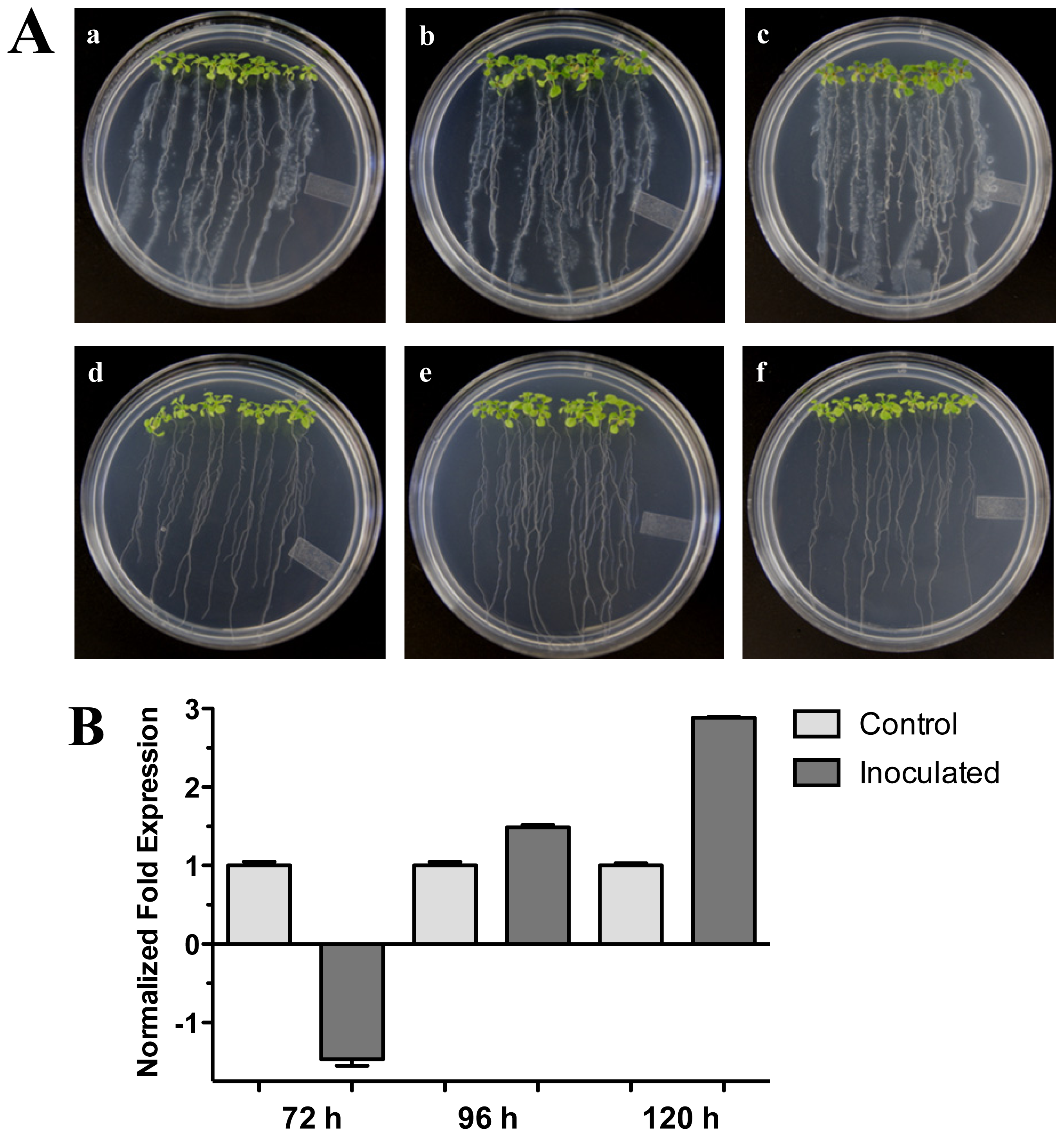Ijms 13 09110f5 1024