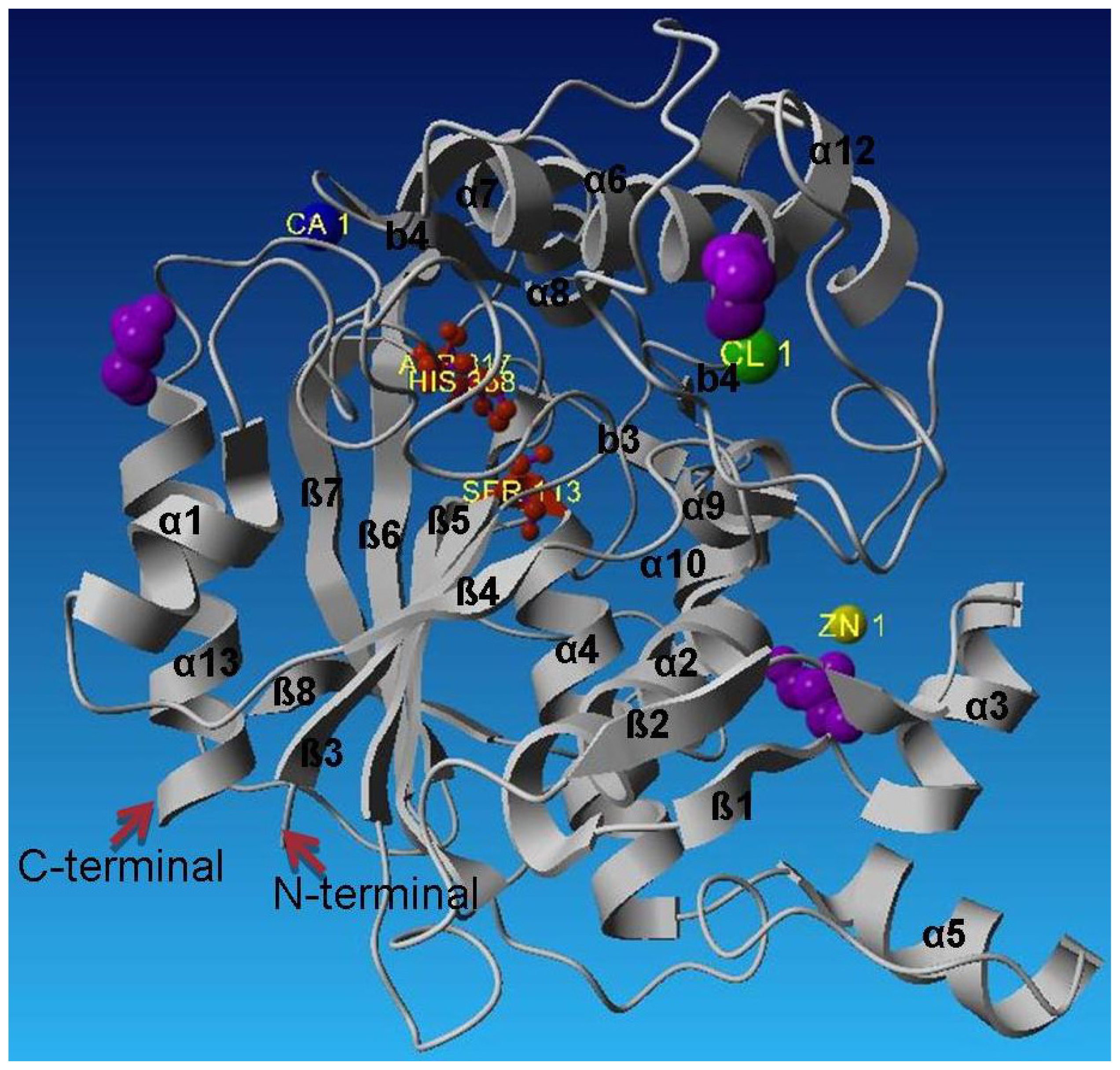 Ijms 13 09207f3 1024