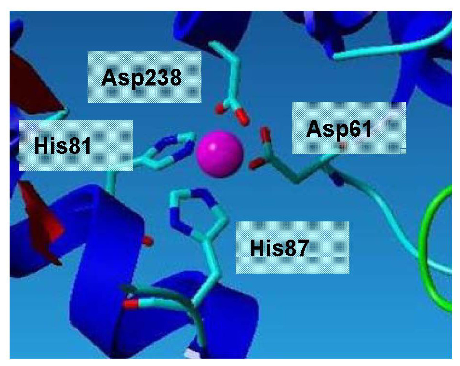 Ijms 13 09207f6 1024