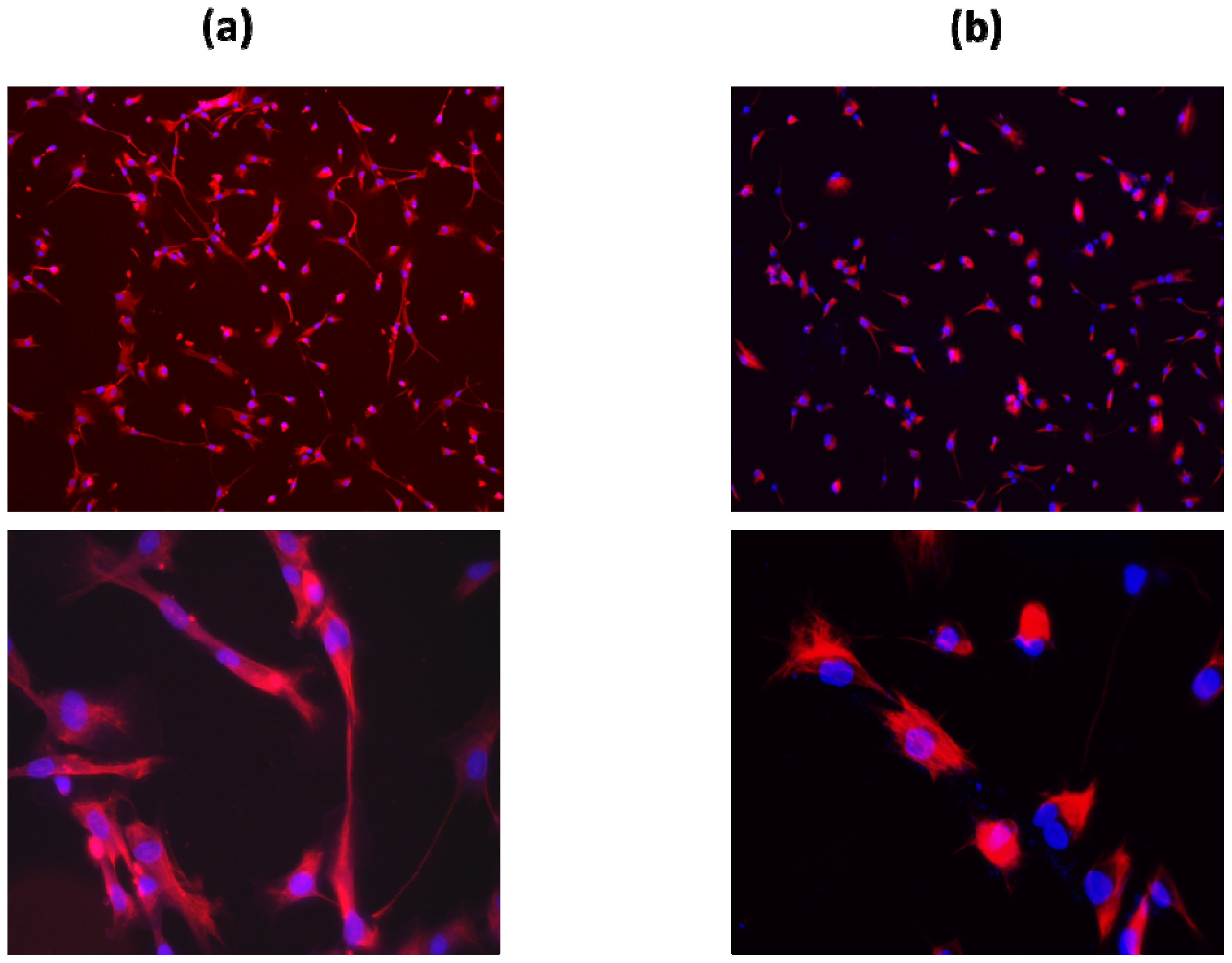 Ijms 13 09380f1 1024