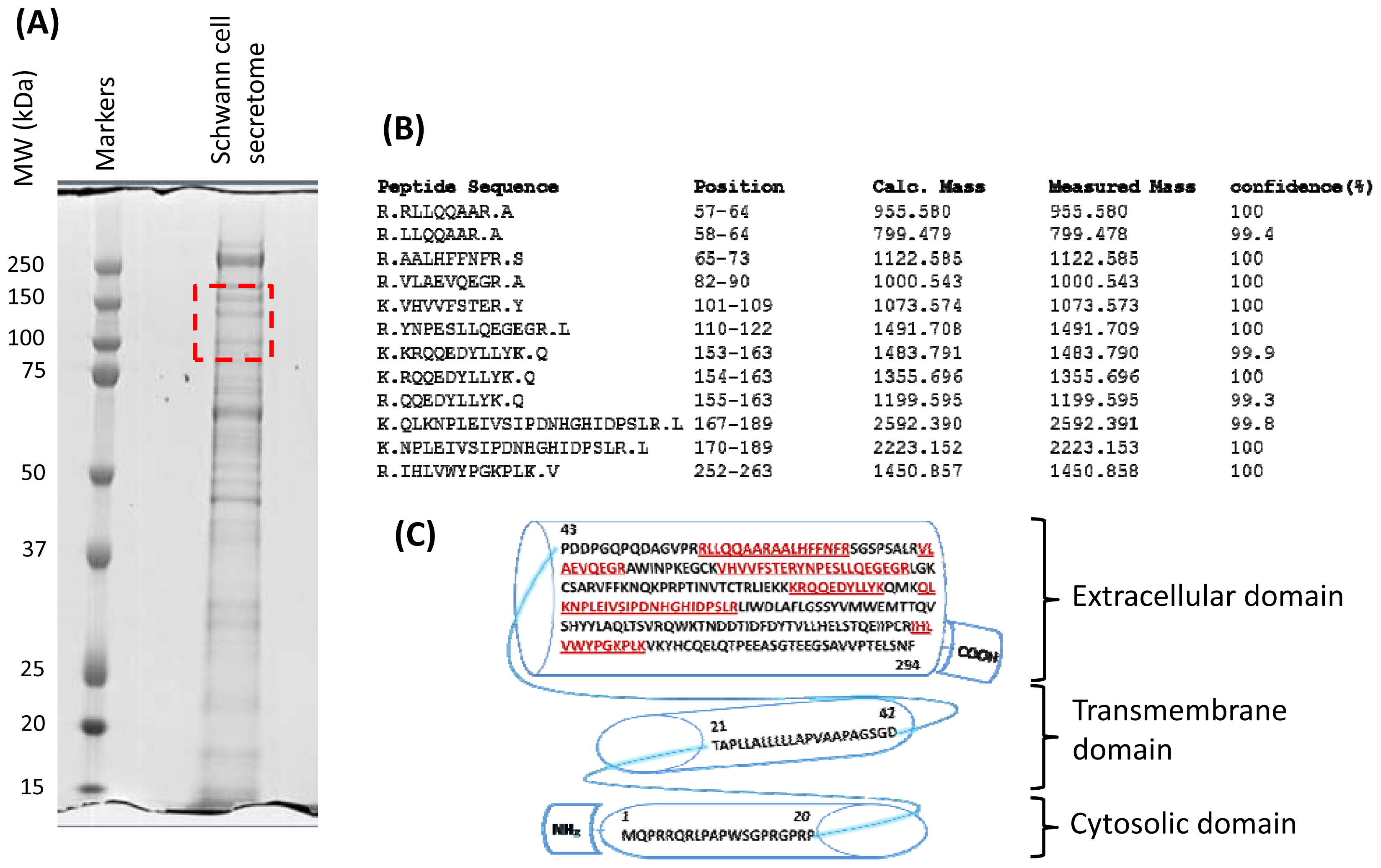 Ijms 13 09380f2 1024