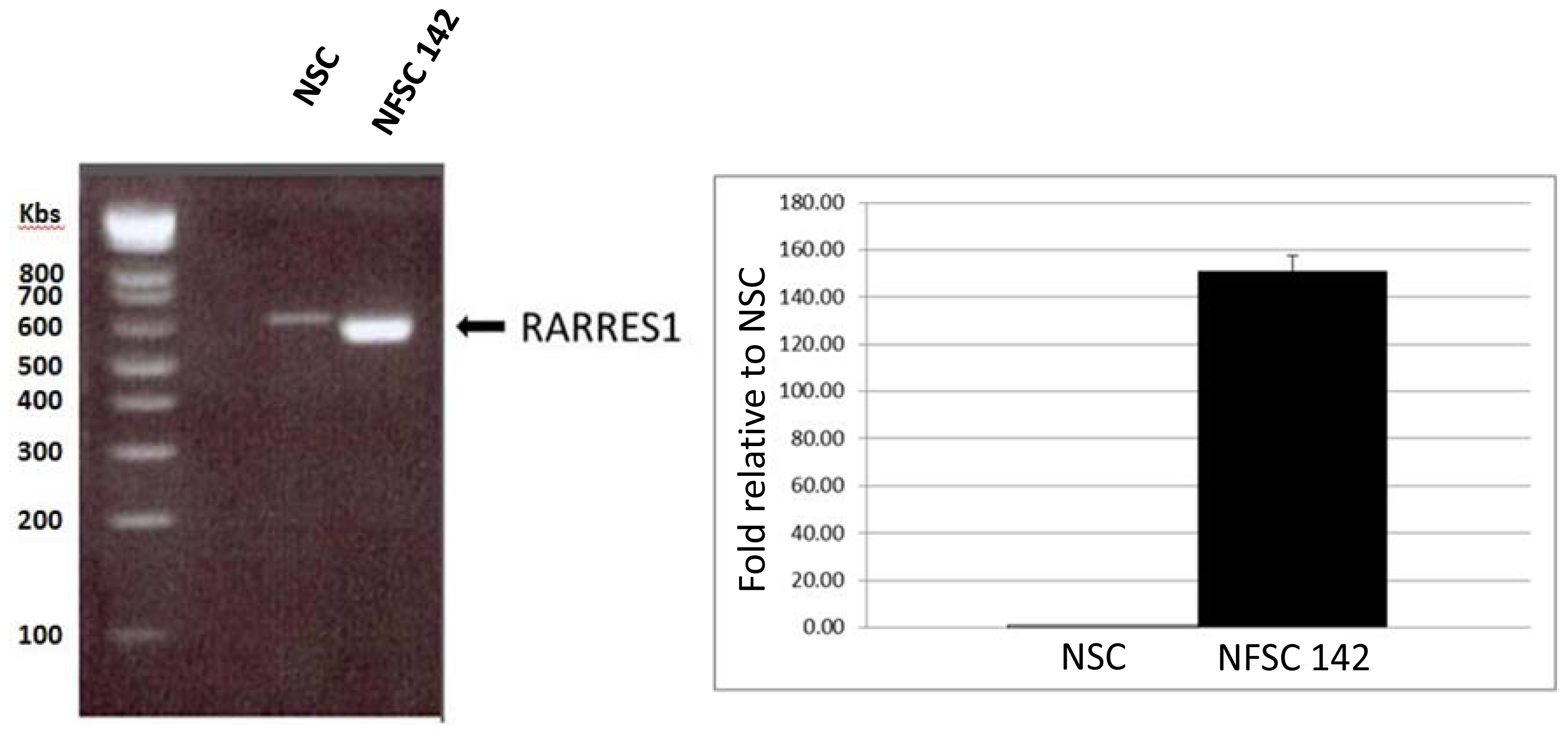 Ijms 13 09380f3 1024