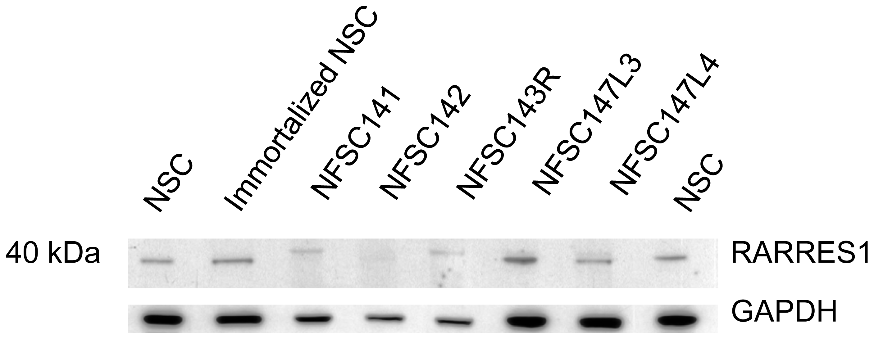 Ijms 13 09380f4 1024