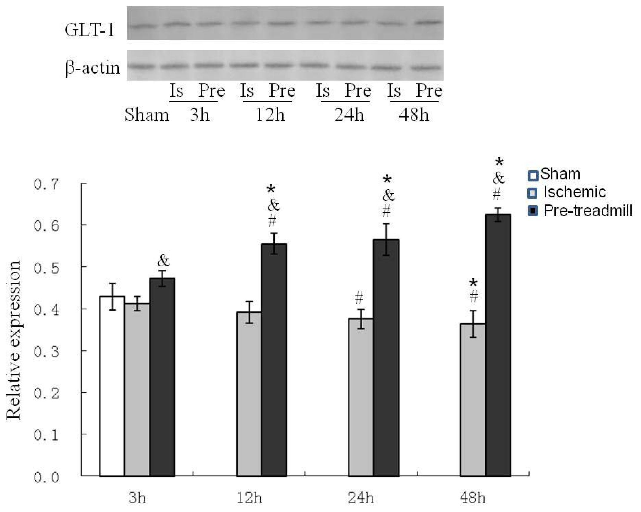 Ijms 13 09447f2 1024