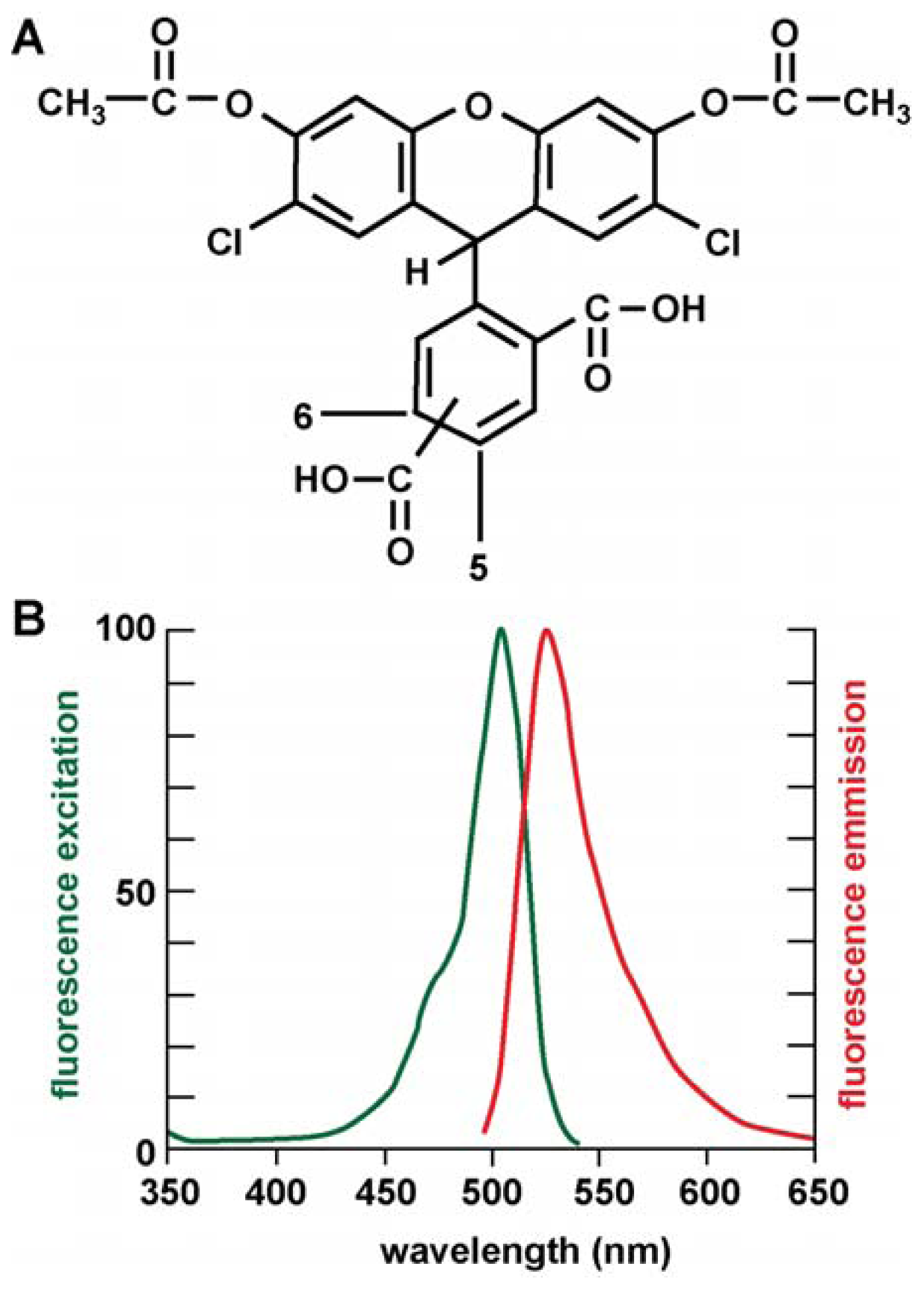 Ijms 13 09615f1 1024