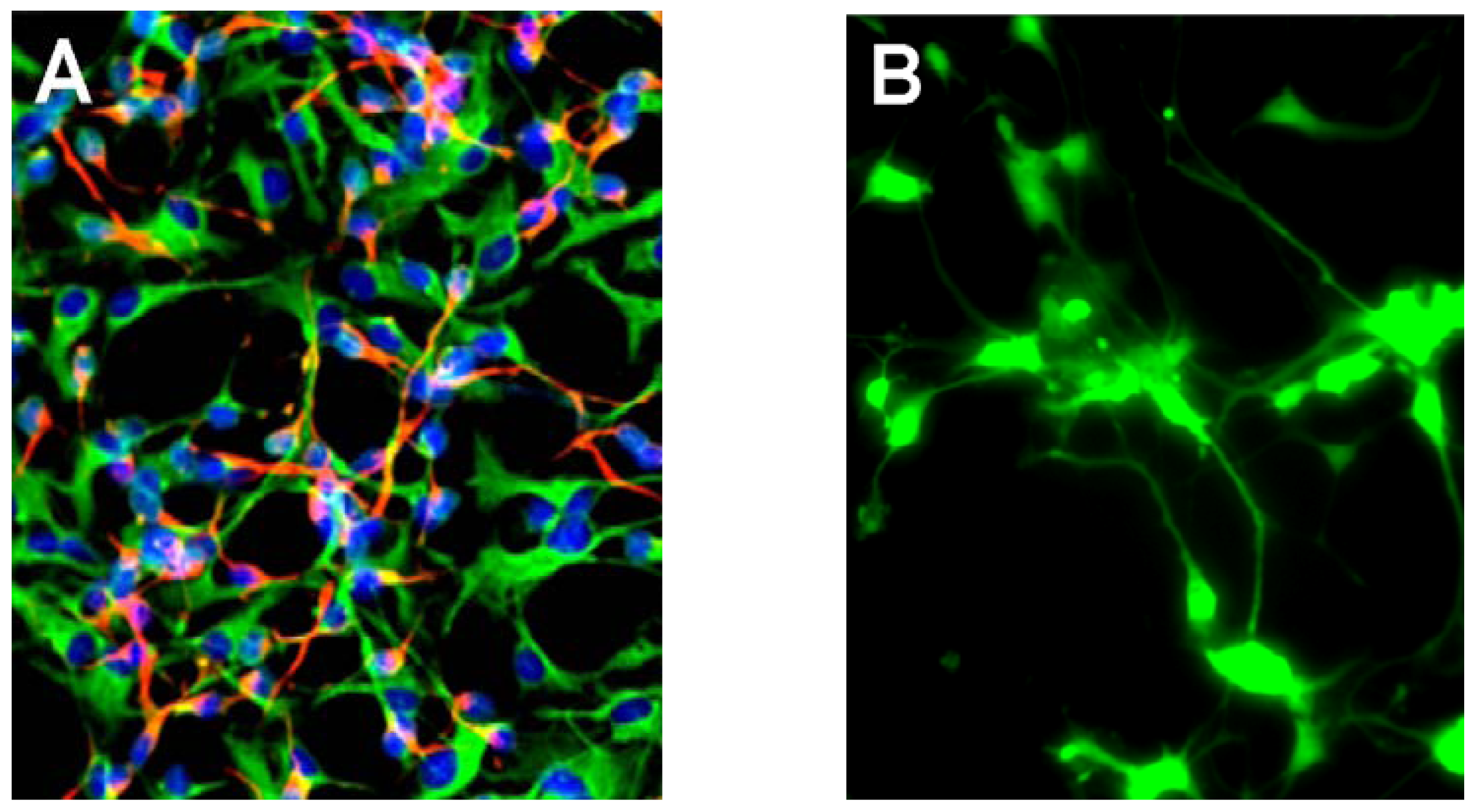 Ijms 13 09615f2 1024