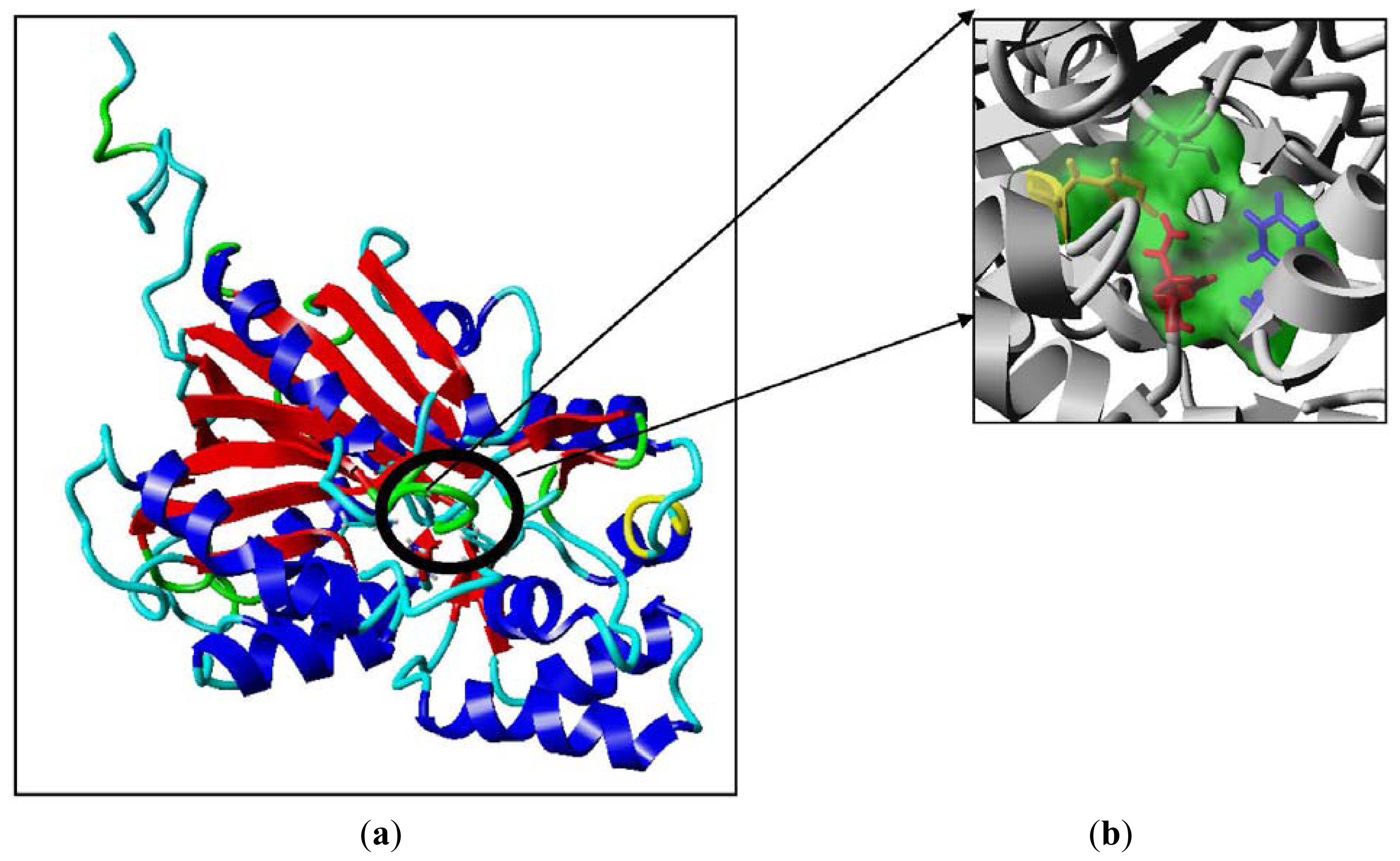 Ijms 13 09673f7 1024