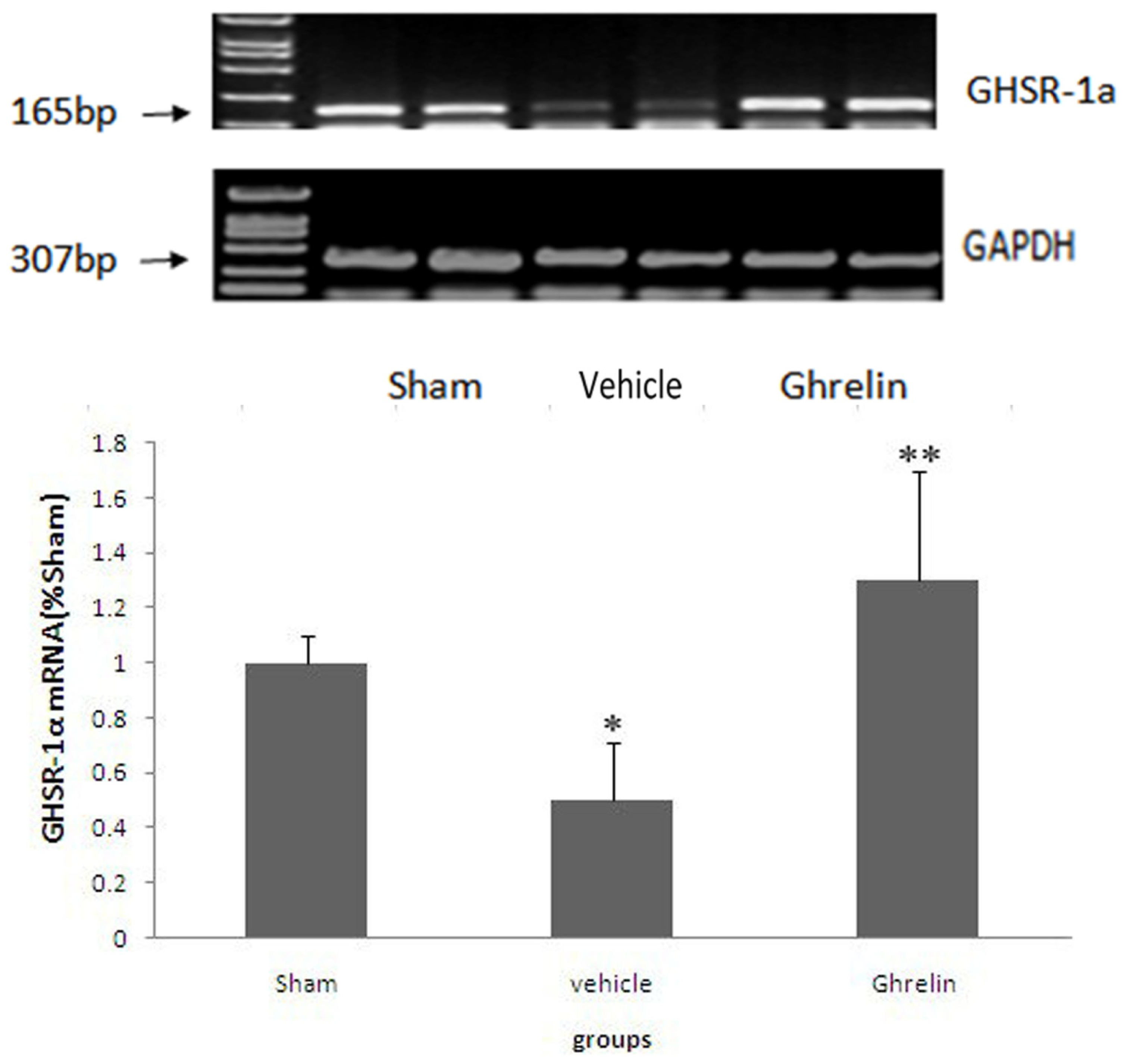 Ijms 13 09864f2 1024