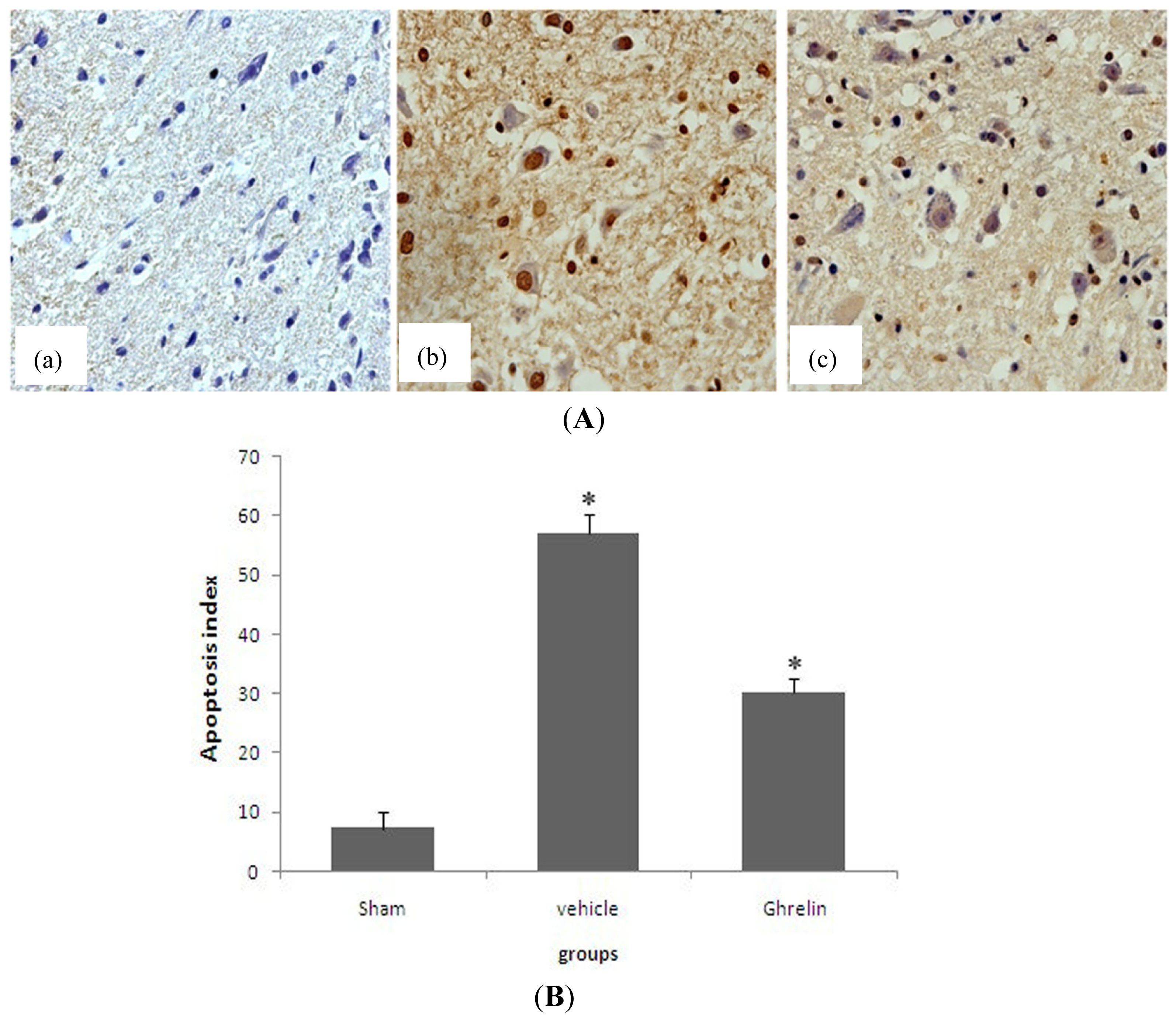 Ijms 13 09864f3 1024