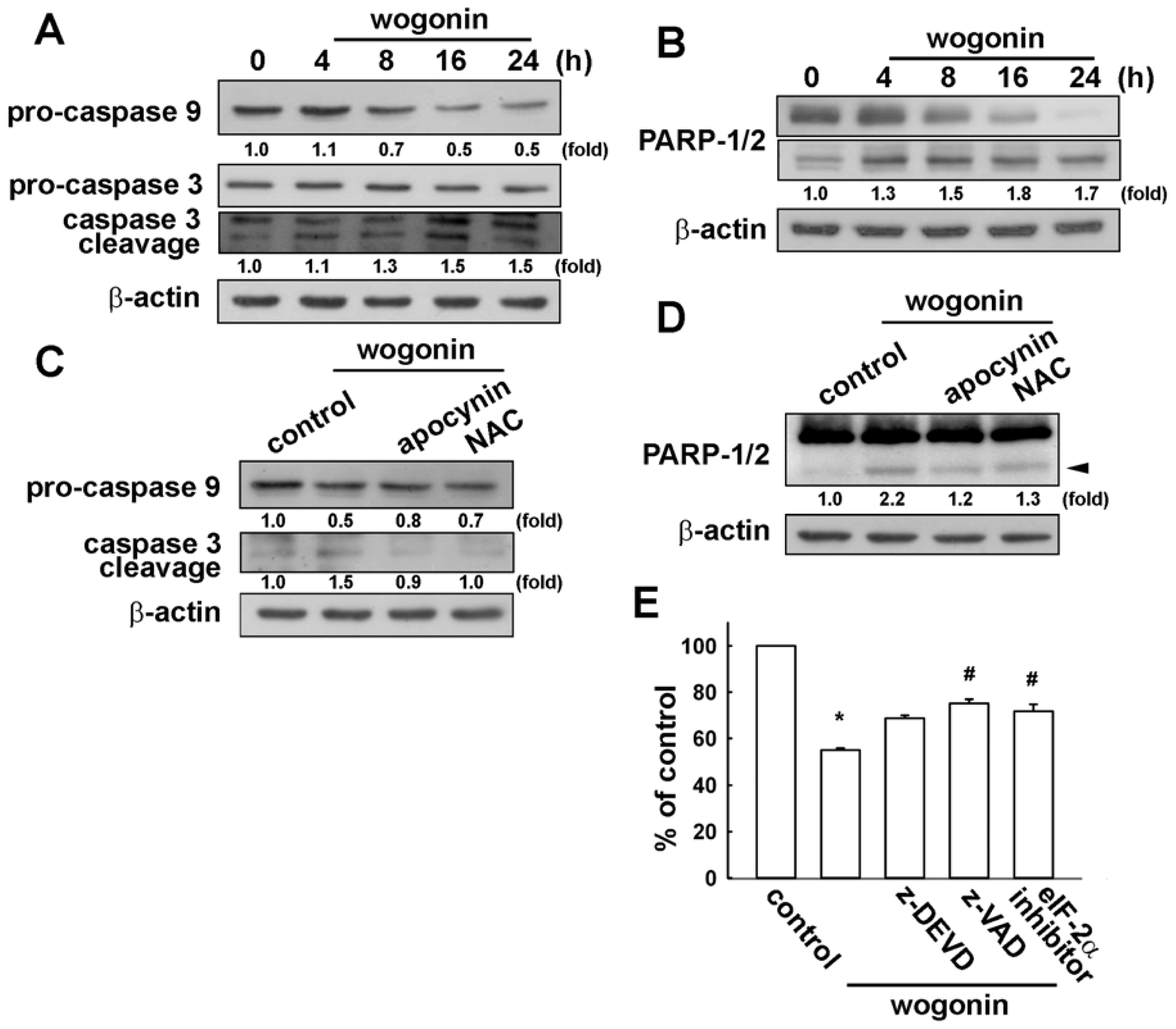 Ijms 13 09877f6 1024