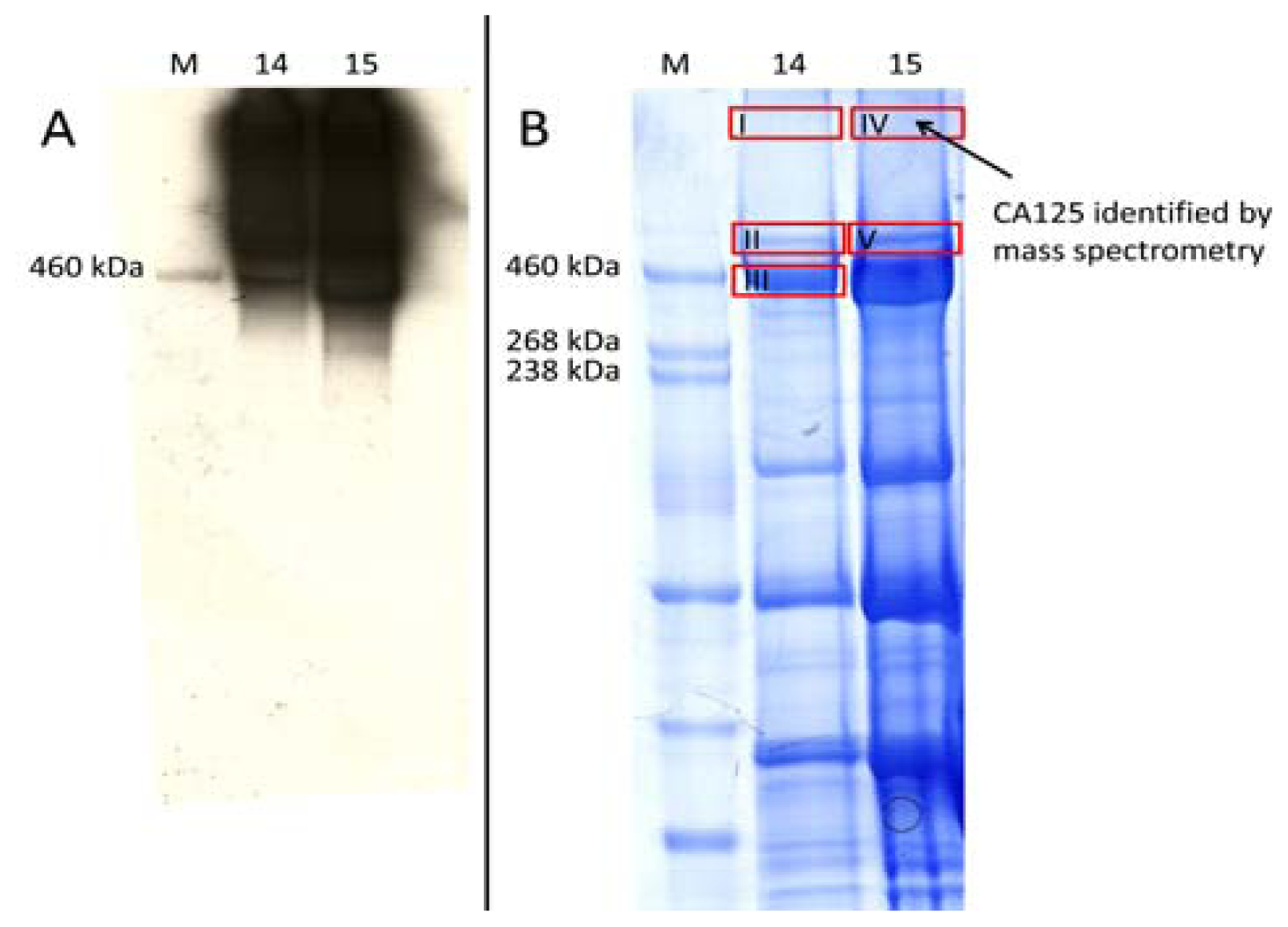Ijms 13 09942f1 1024