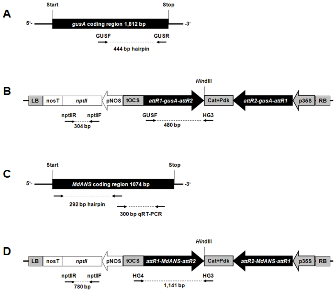 Ijms 13 09992f1 1024