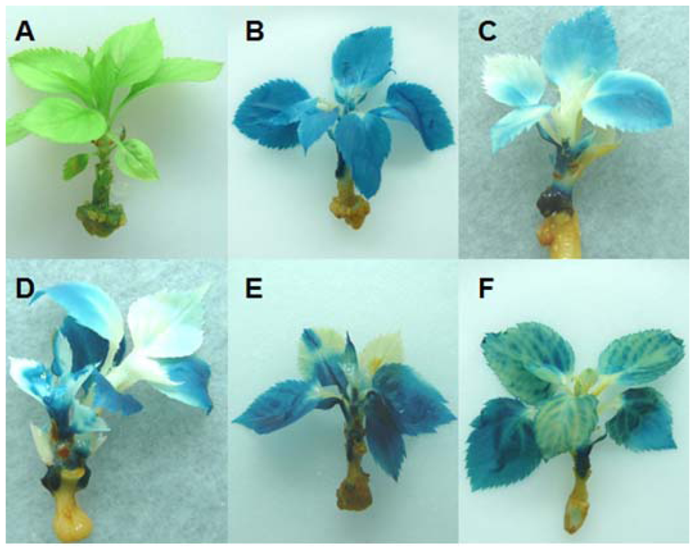 Ijms 13 09992f3a 1024