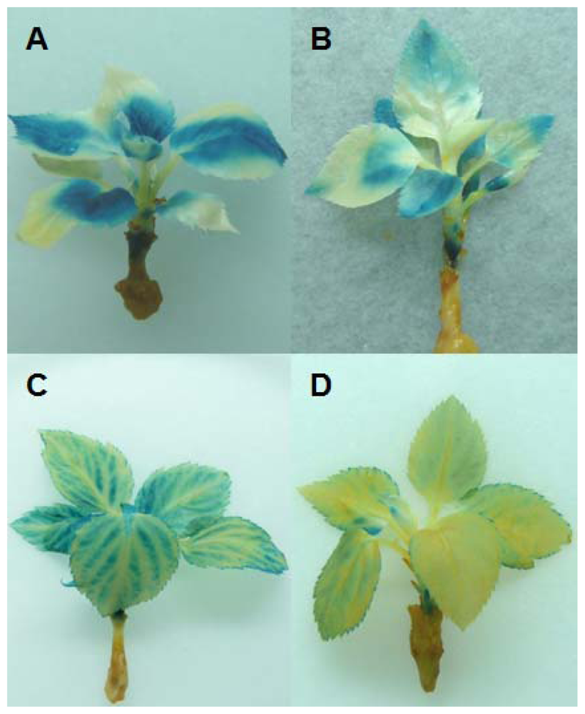 Ijms 13 09992f4 1024