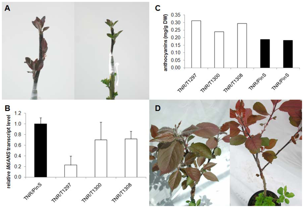 Ijms 13 09992f7 1024