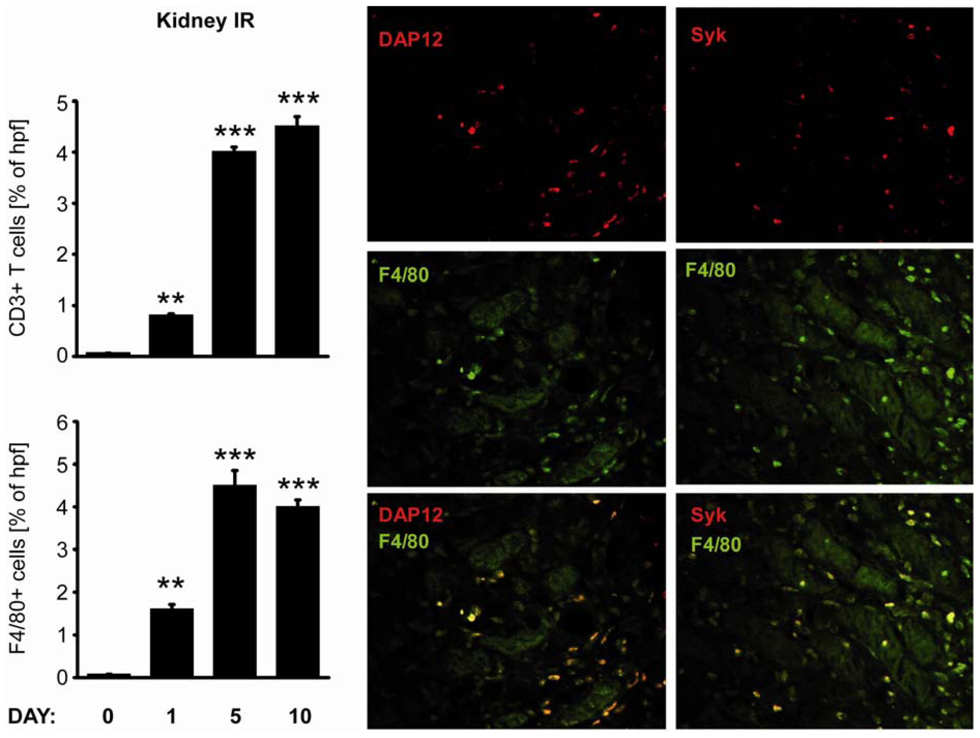 Ijms 13 10113f4 1024