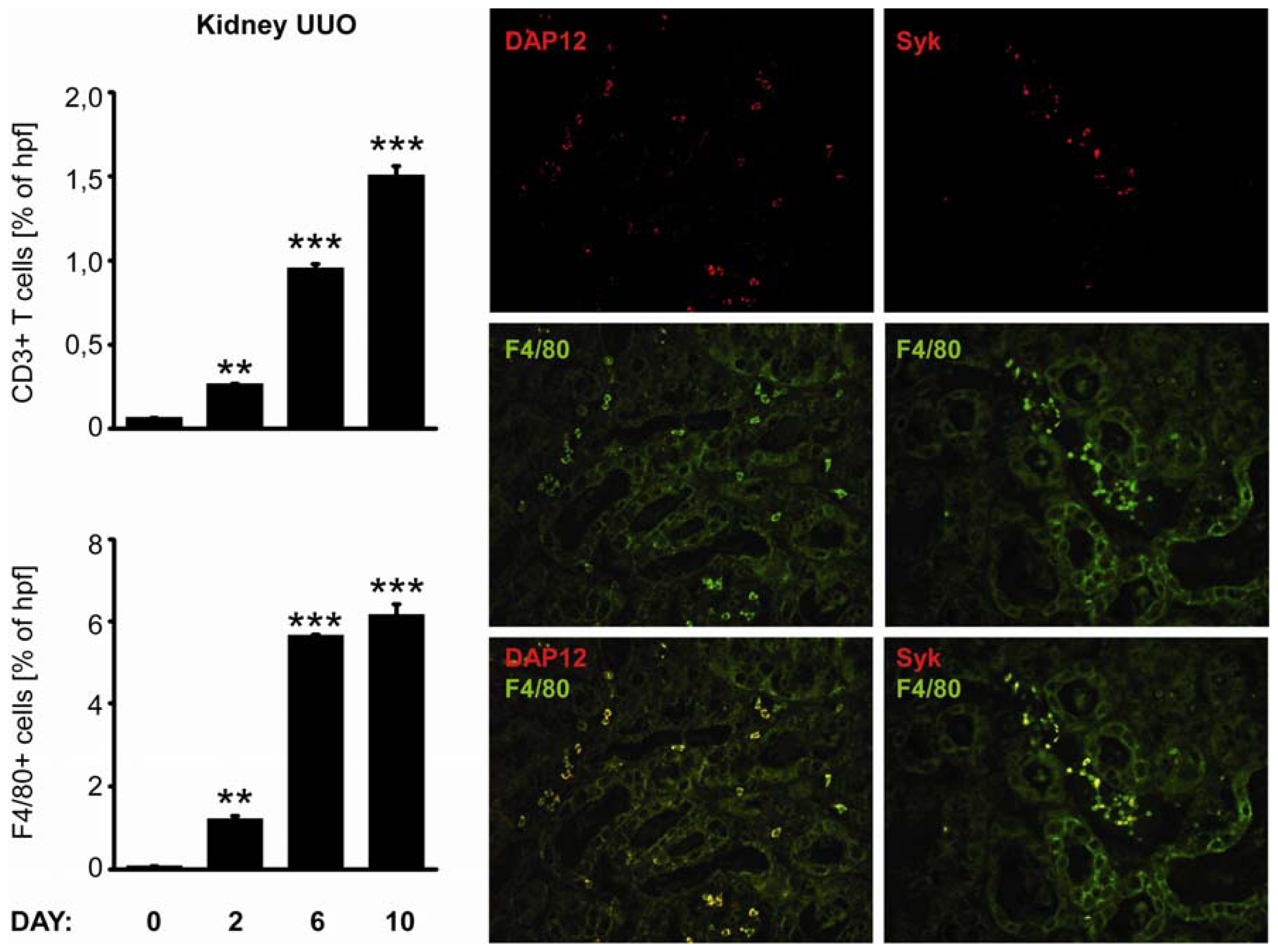 Ijms 13 10113f5 1024