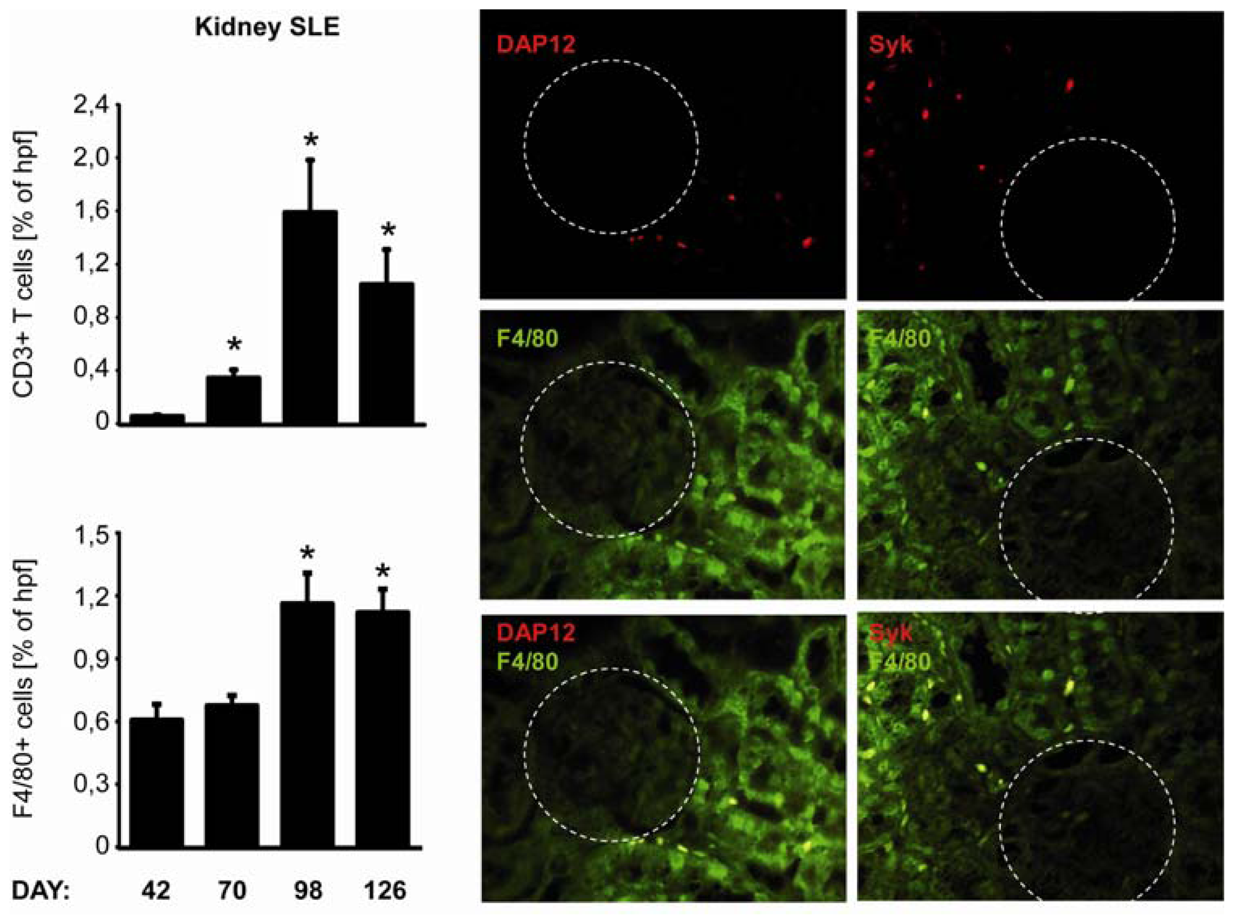 Ijms 13 10113f6 1024