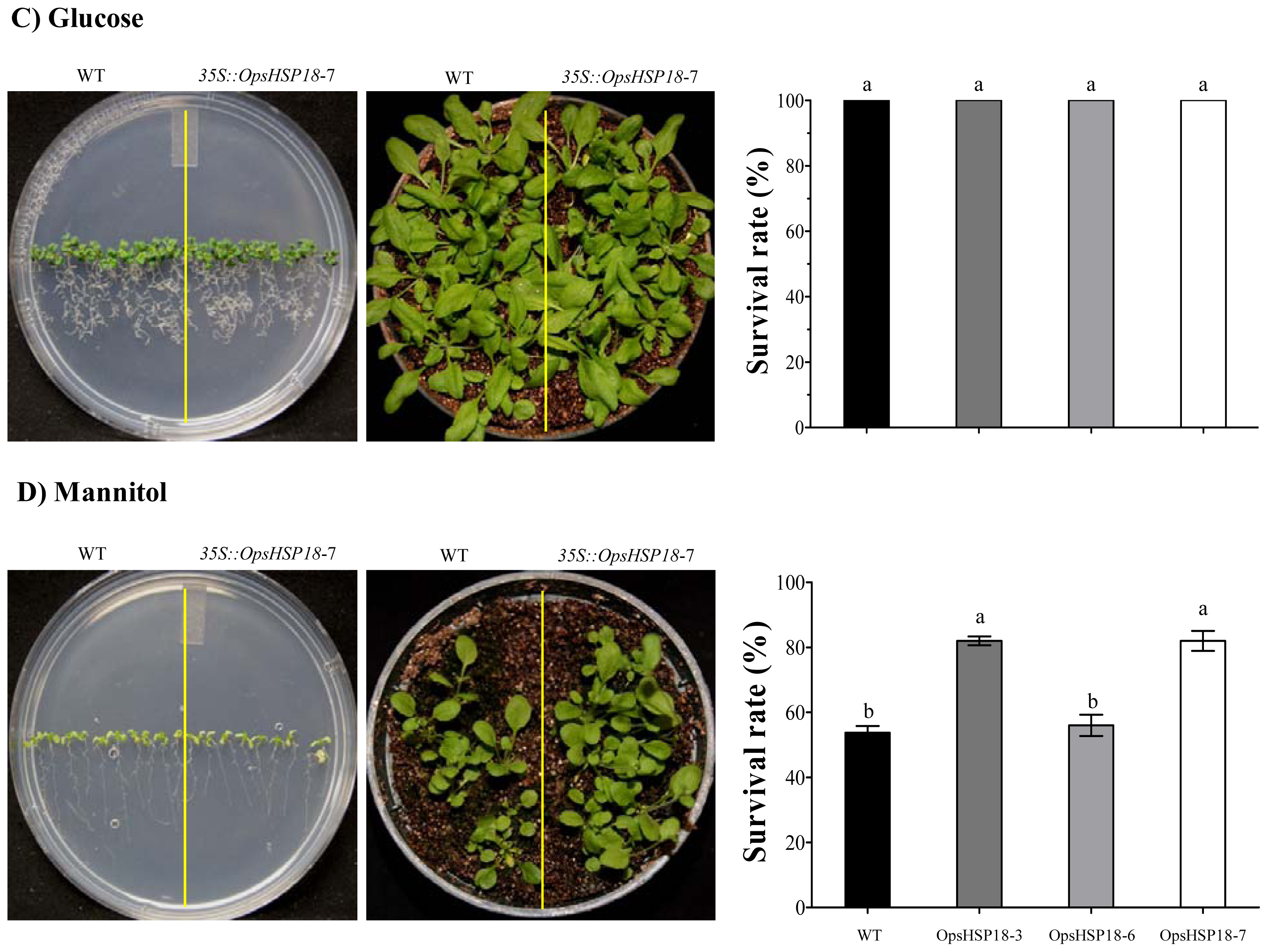 Ijms 13 10154f7b 1024