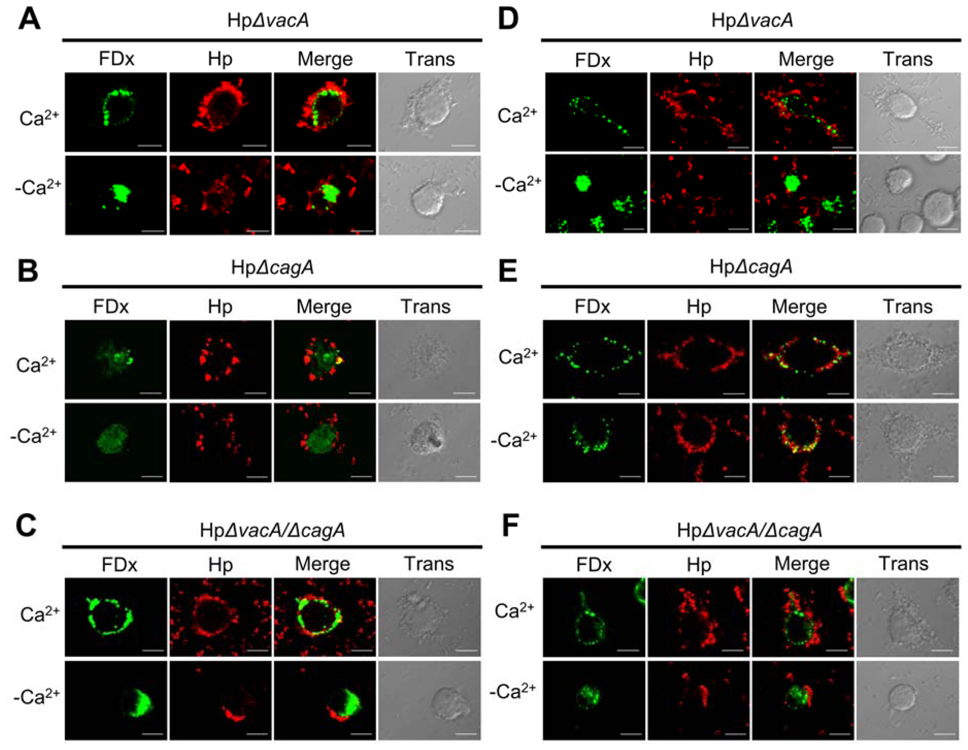 Ijms 13 10176f2 1024
